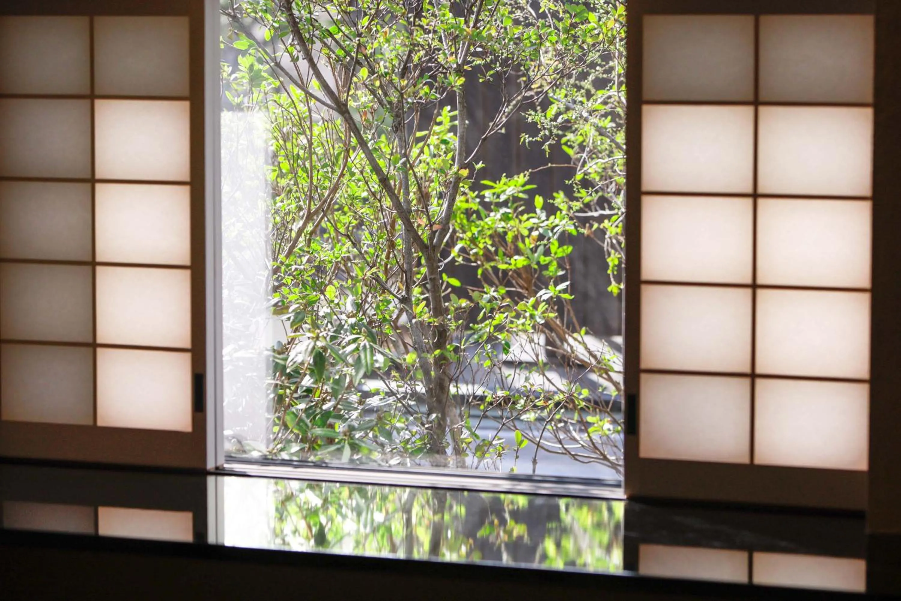 Garden view in Sowaka