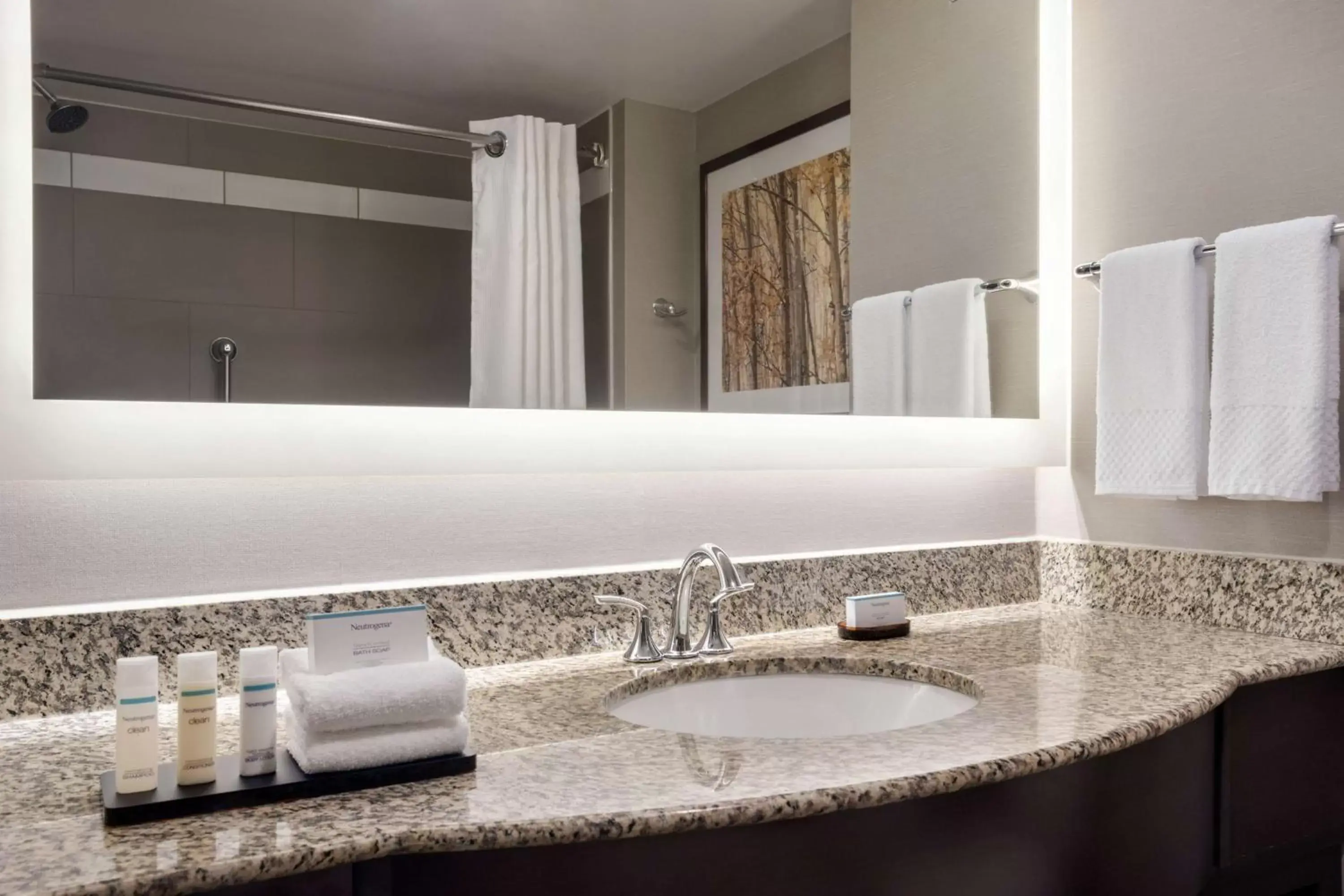 Bathroom in Embassy Suites by Hilton Atlanta Alpharetta