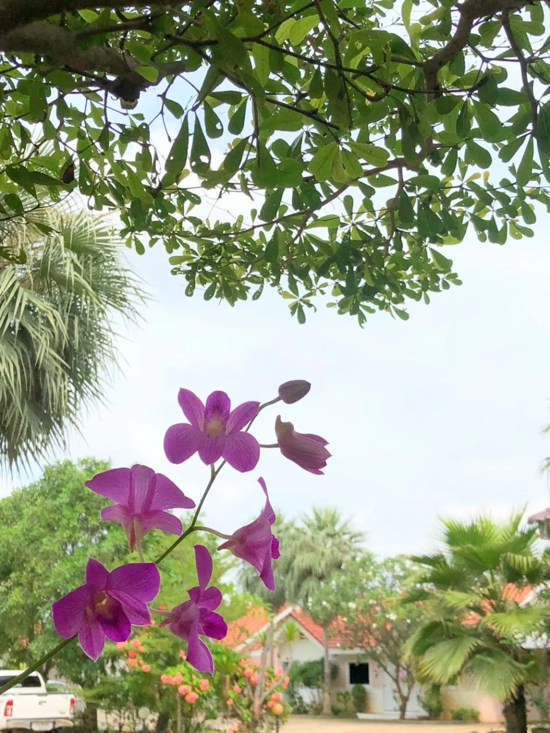 Garden view in Soda Resort