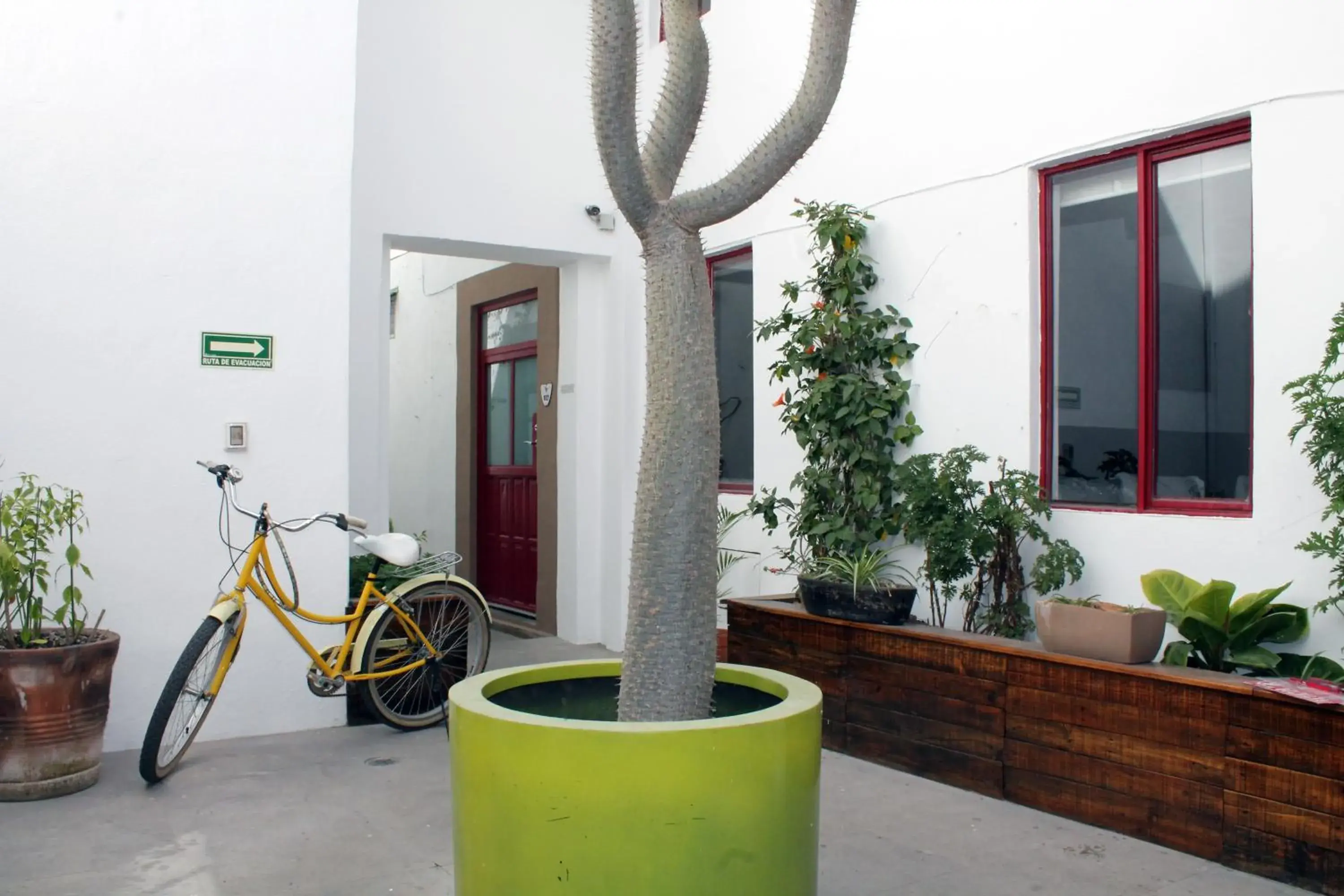 Patio in Kuku Ruku Hotel