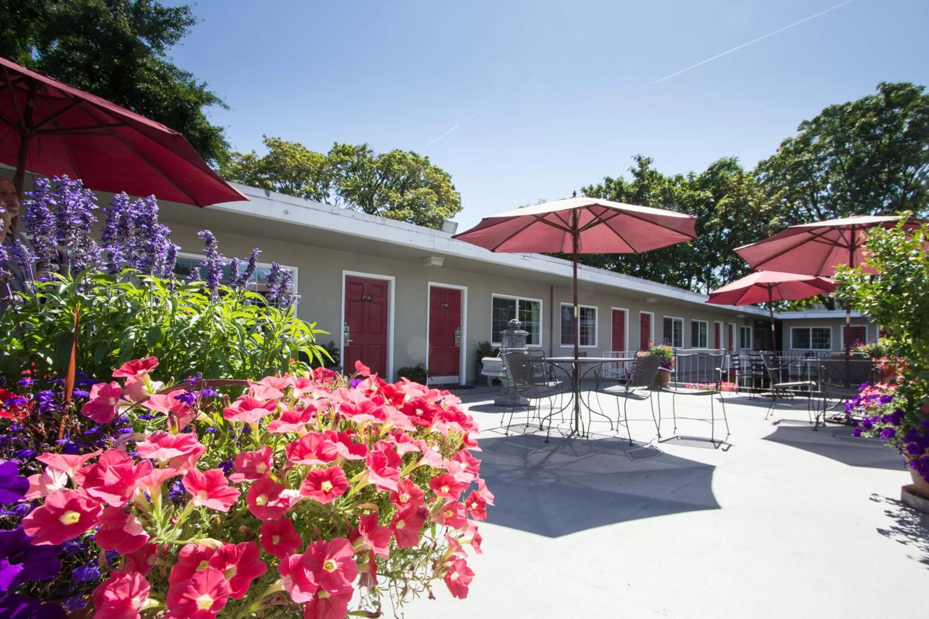 Patio in Campus Inn & Suites Eugene Downtown