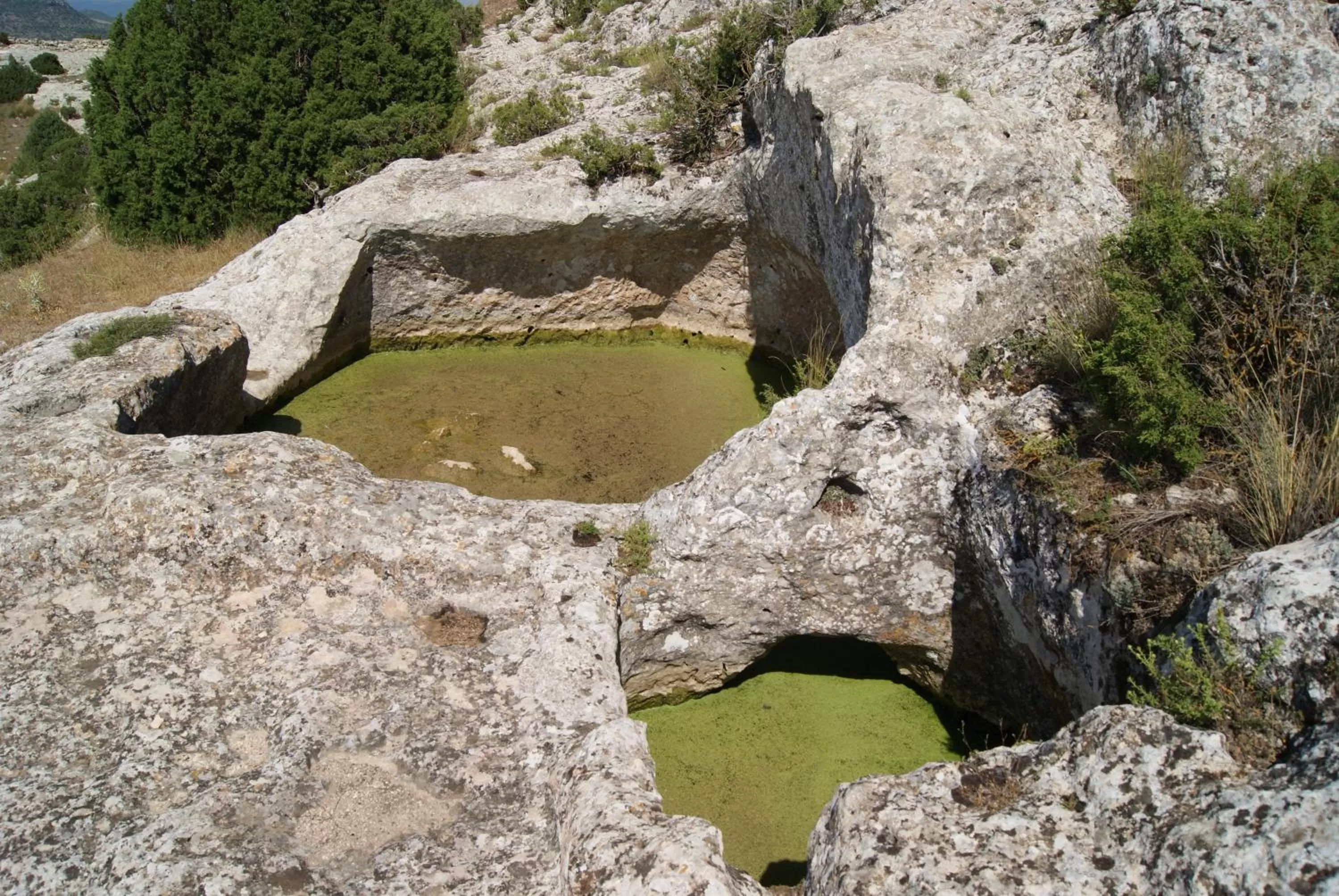 Activities in Finca El Romeral