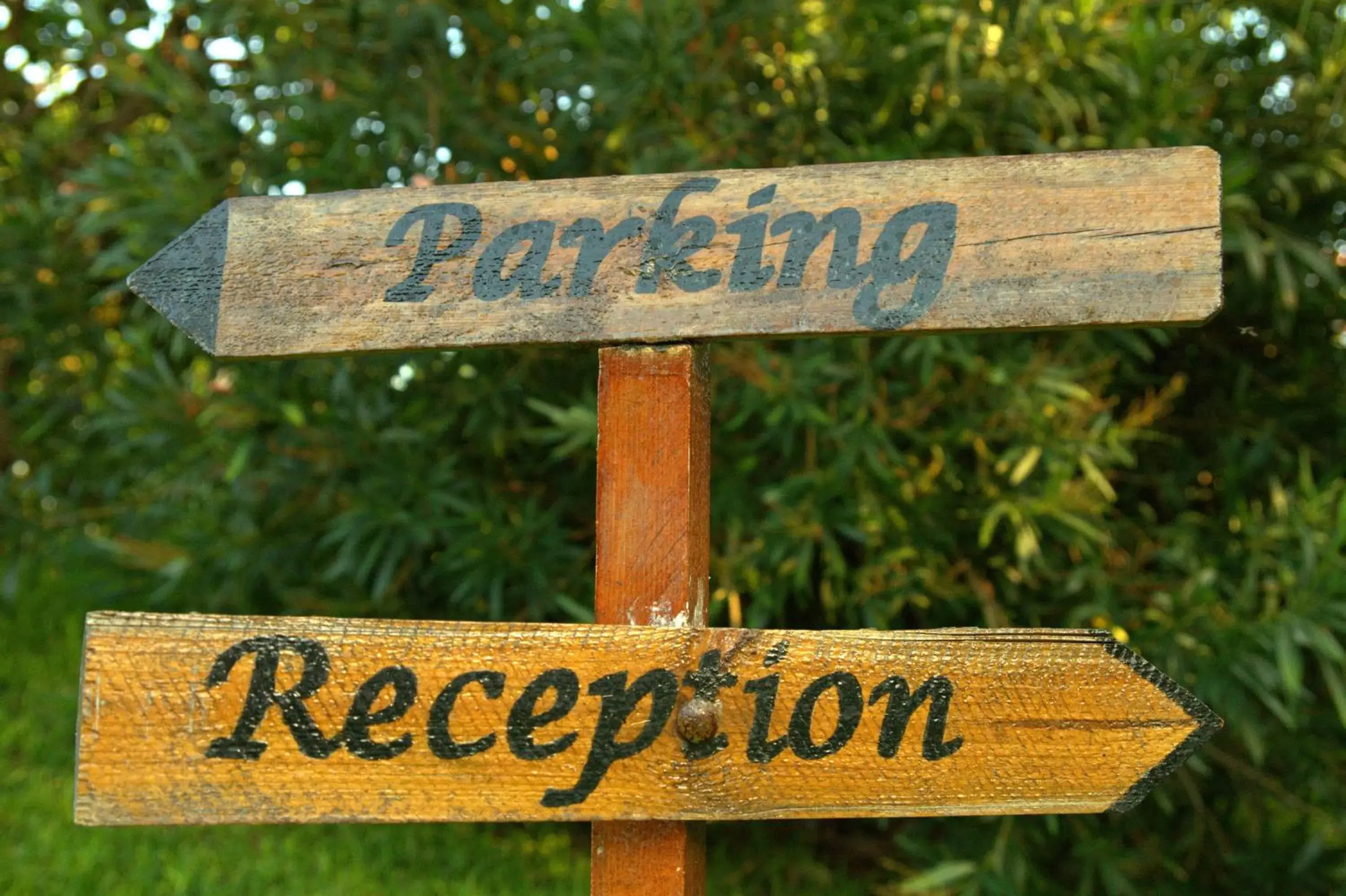 Decorative detail, Logo/Certificate/Sign/Award in Torre Archirafi Resort