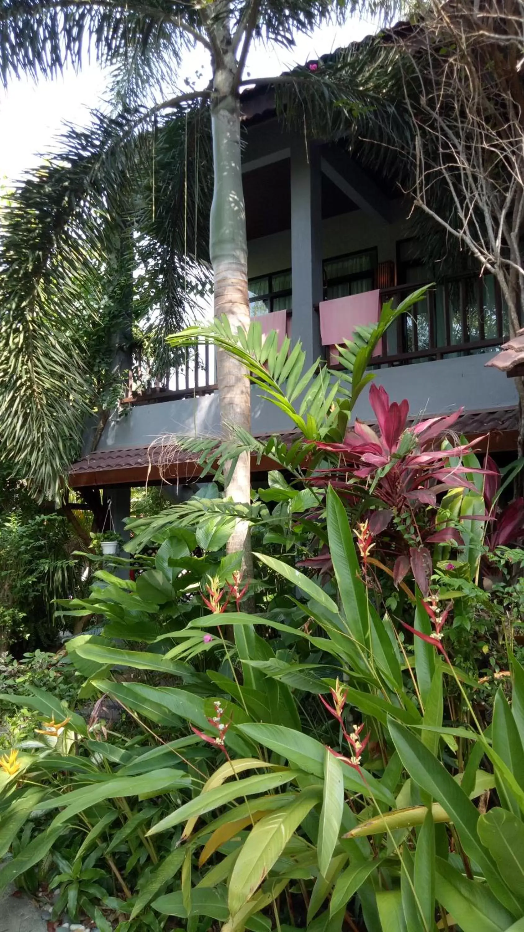 Property building in Villa Molek Property building in Villa Molek