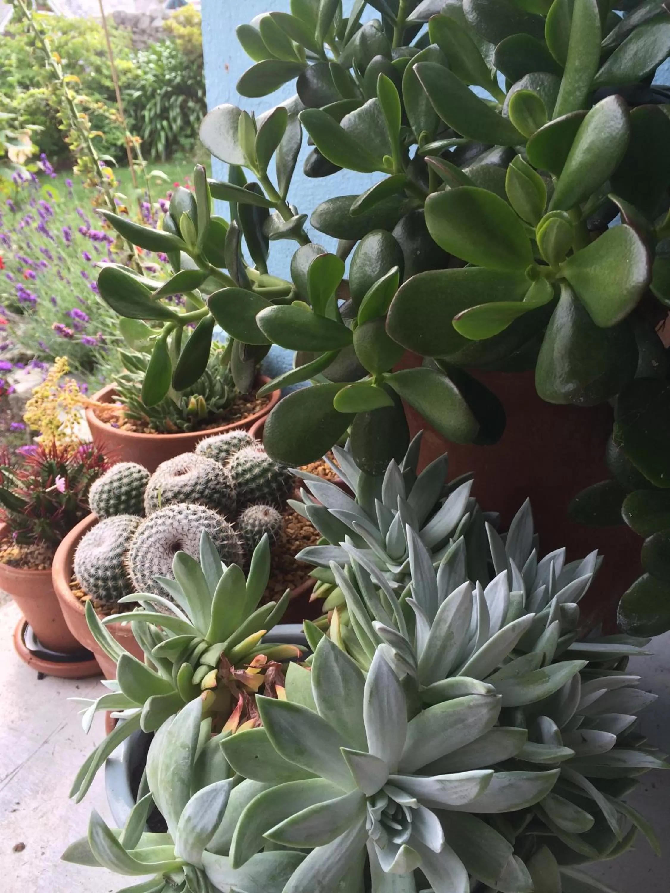 Lyonesse Guest House