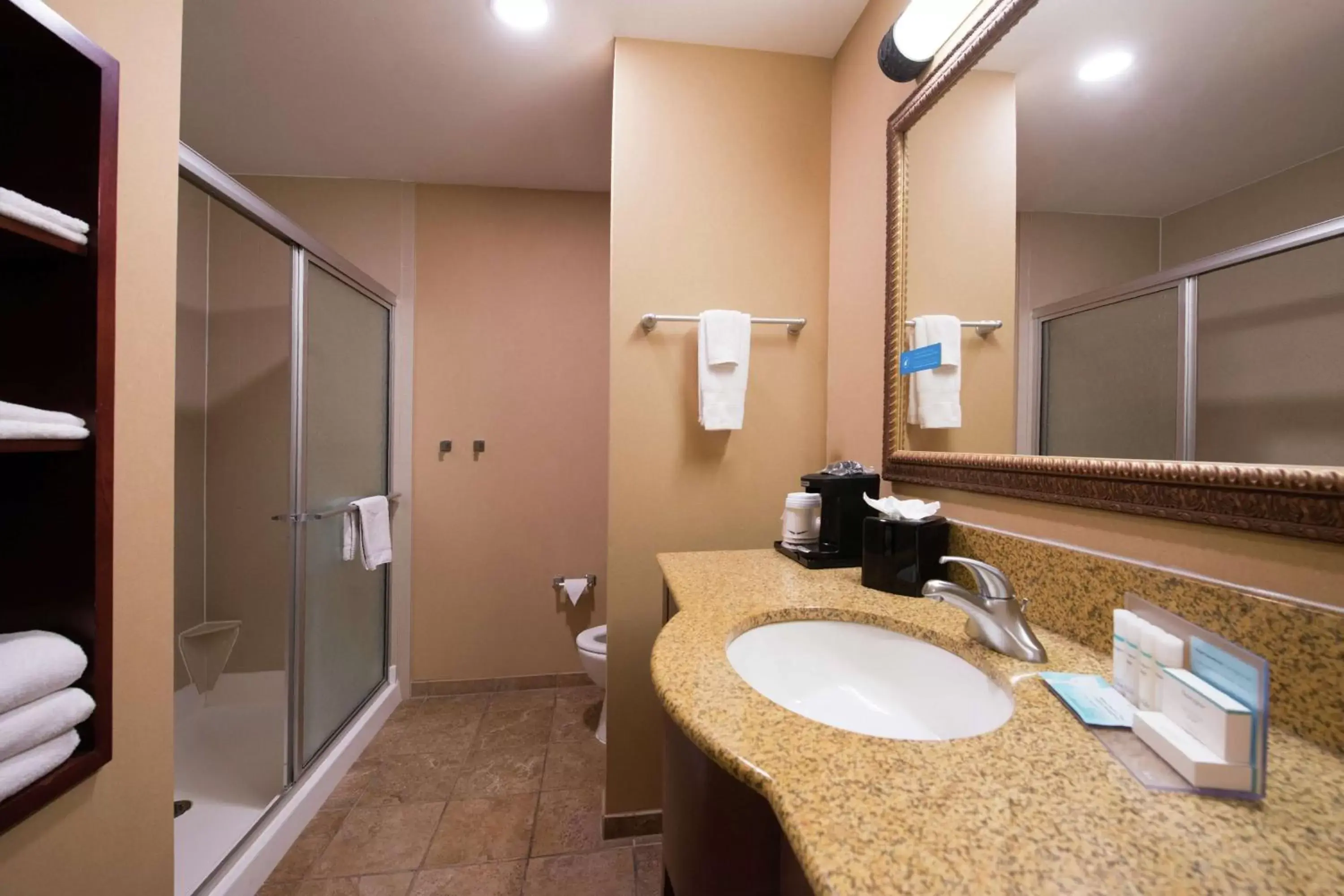 Bathroom in Hampton Inn & Suites Rifle