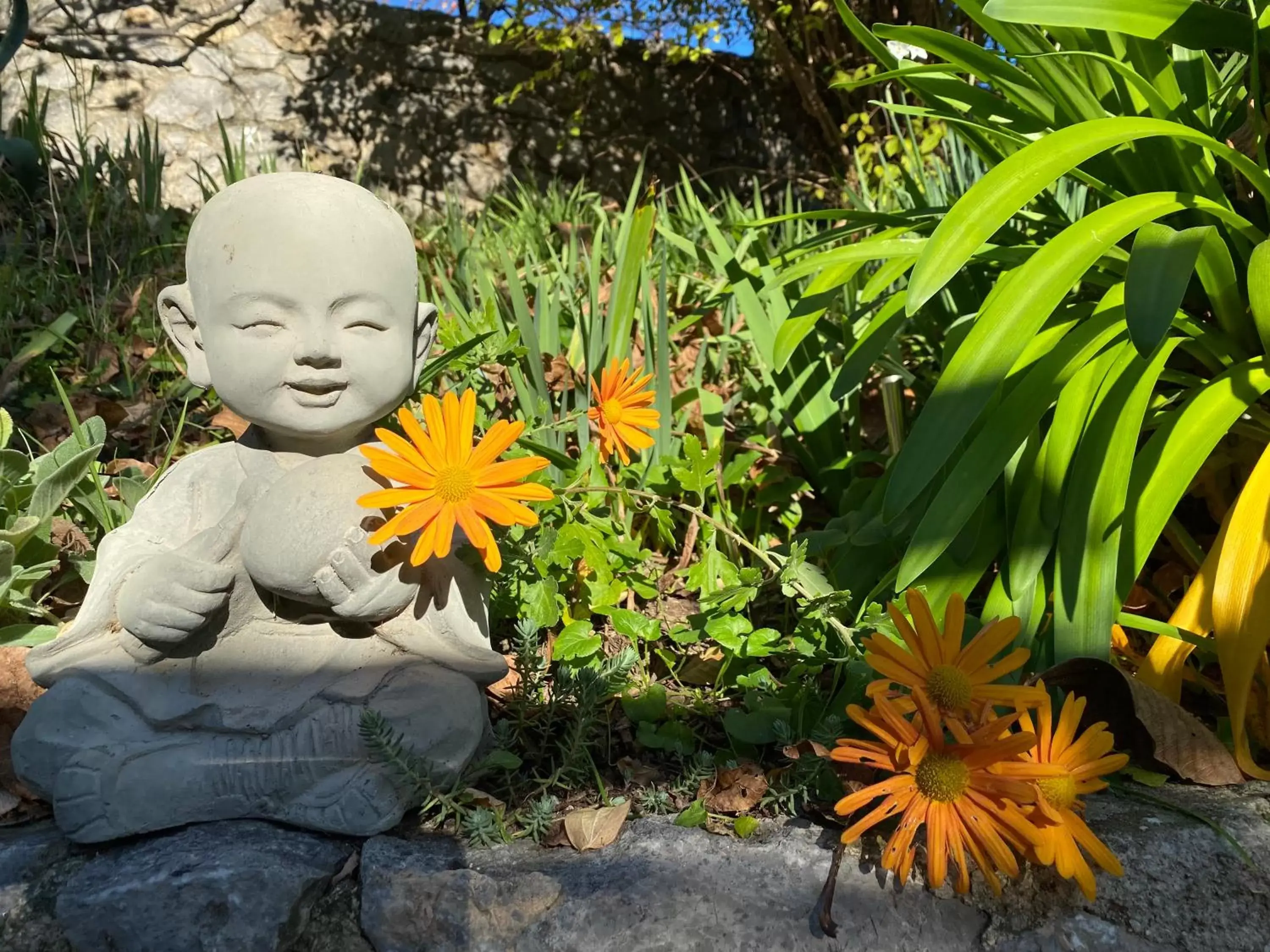 Garden, Children in Mas Giro