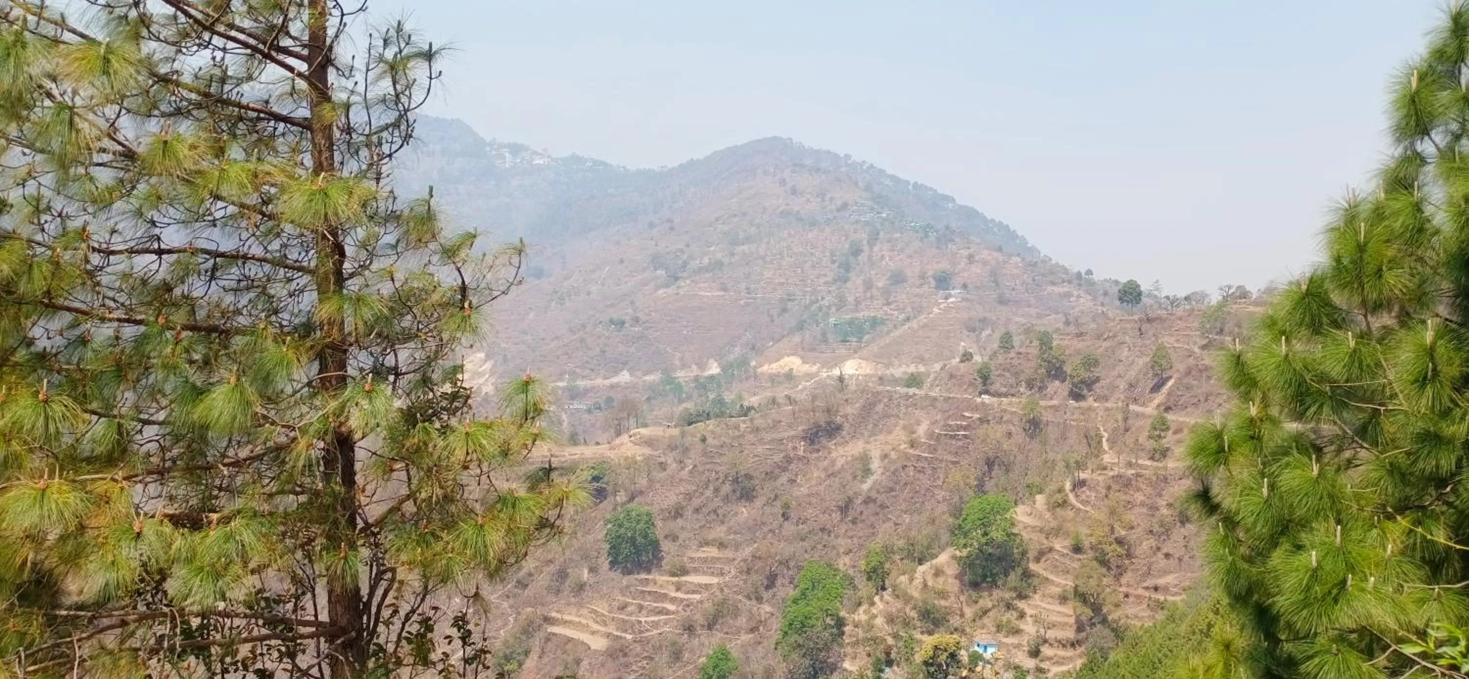 Sea view, Mountain View in Blue Pine Orchards - Villas