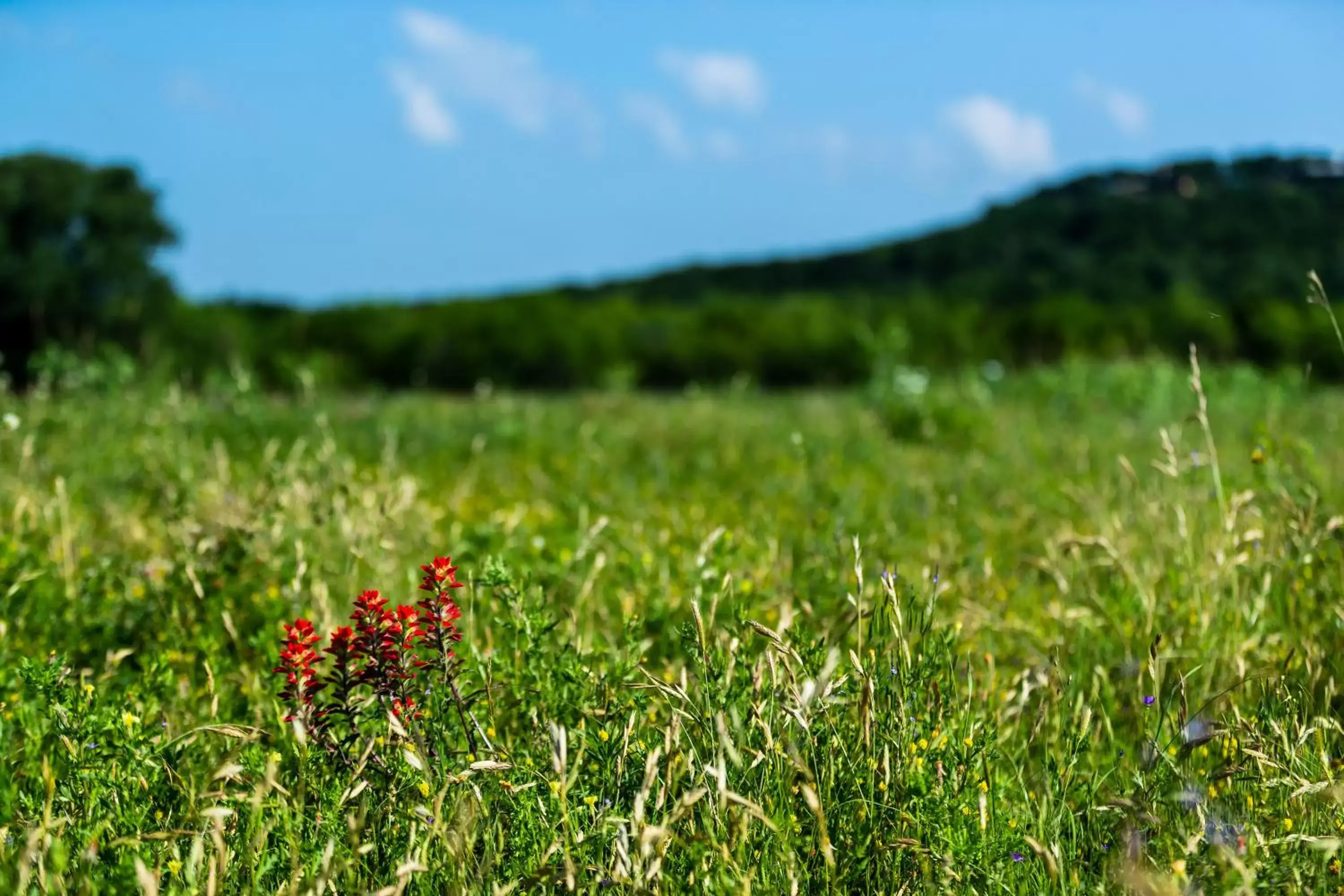 Natural Landscape in Wildcatter Ranch and Resort