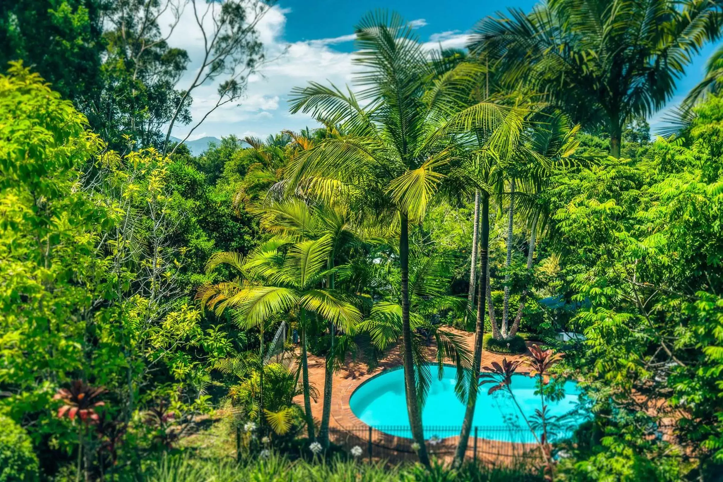 Natural landscape, Pool View in Bella Vista Bellingen