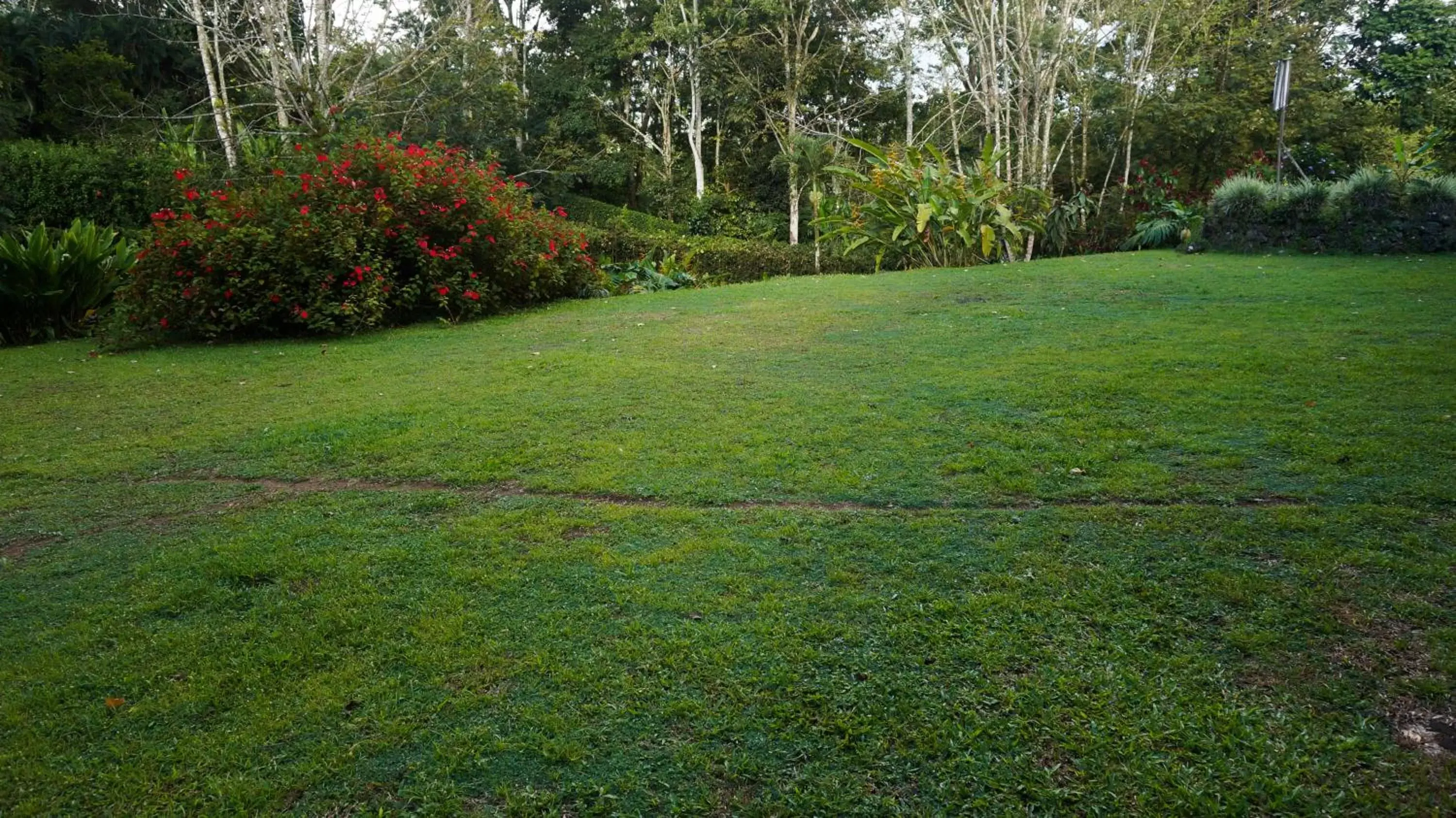 Garden in Hospedaje La Naciente