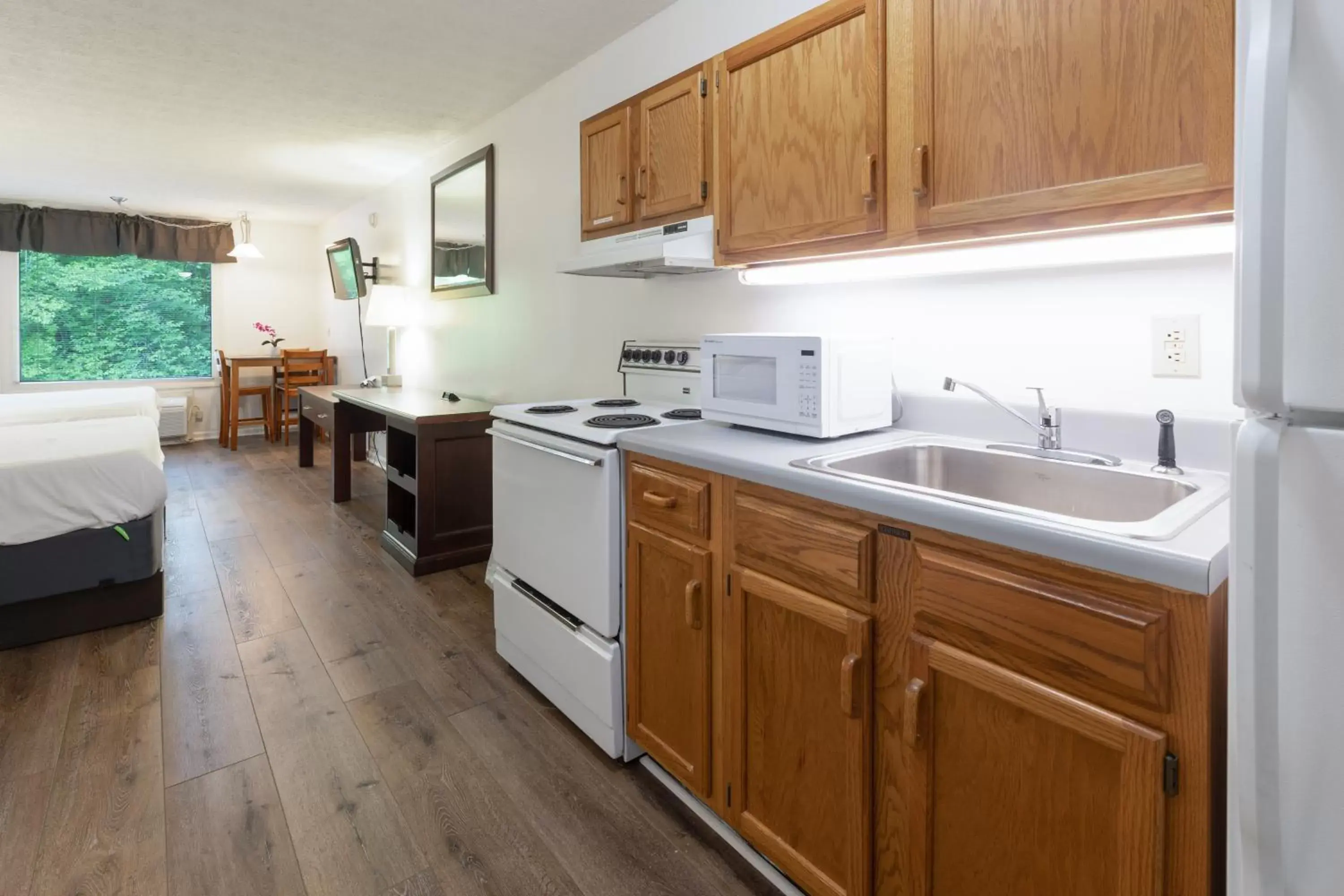 Kitchen or kitchenette, Kitchen/Kitchenette in Halesford Harbour Resort - Smith Mountain Lake