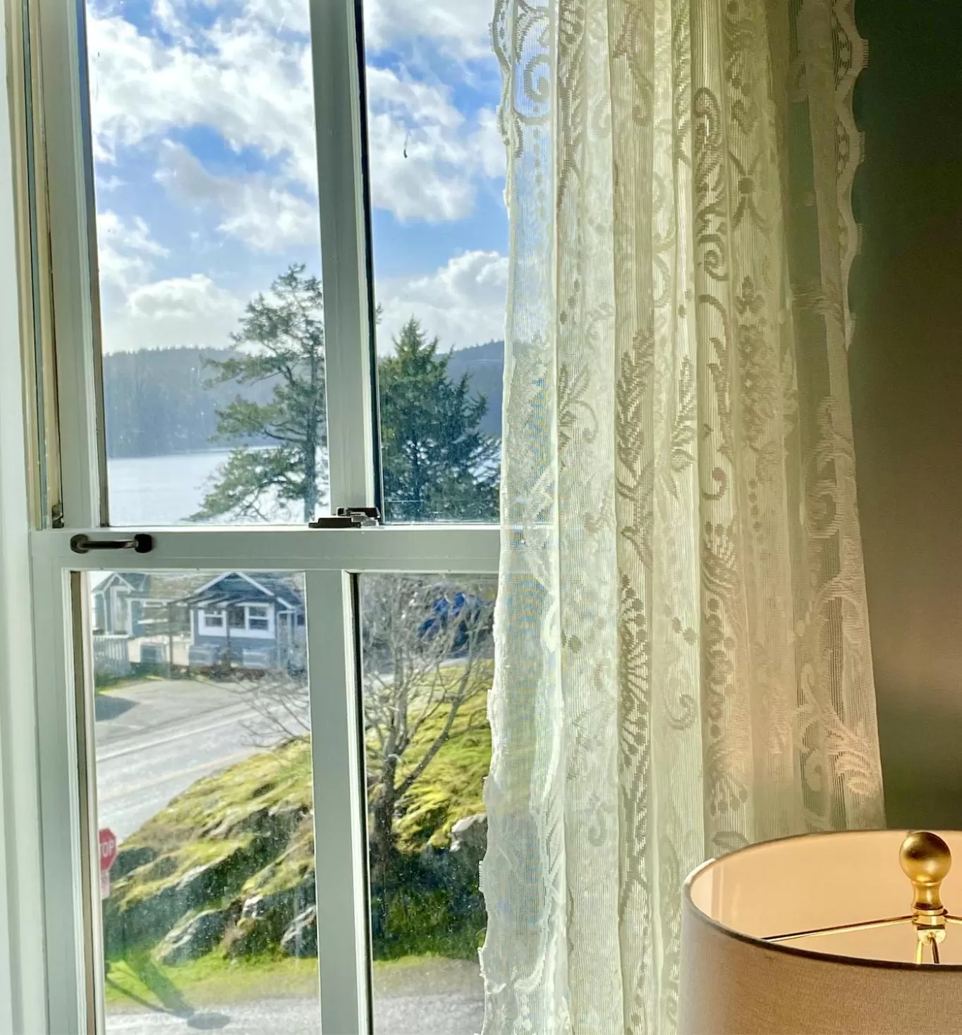 Mountain View in Orcas Hotel