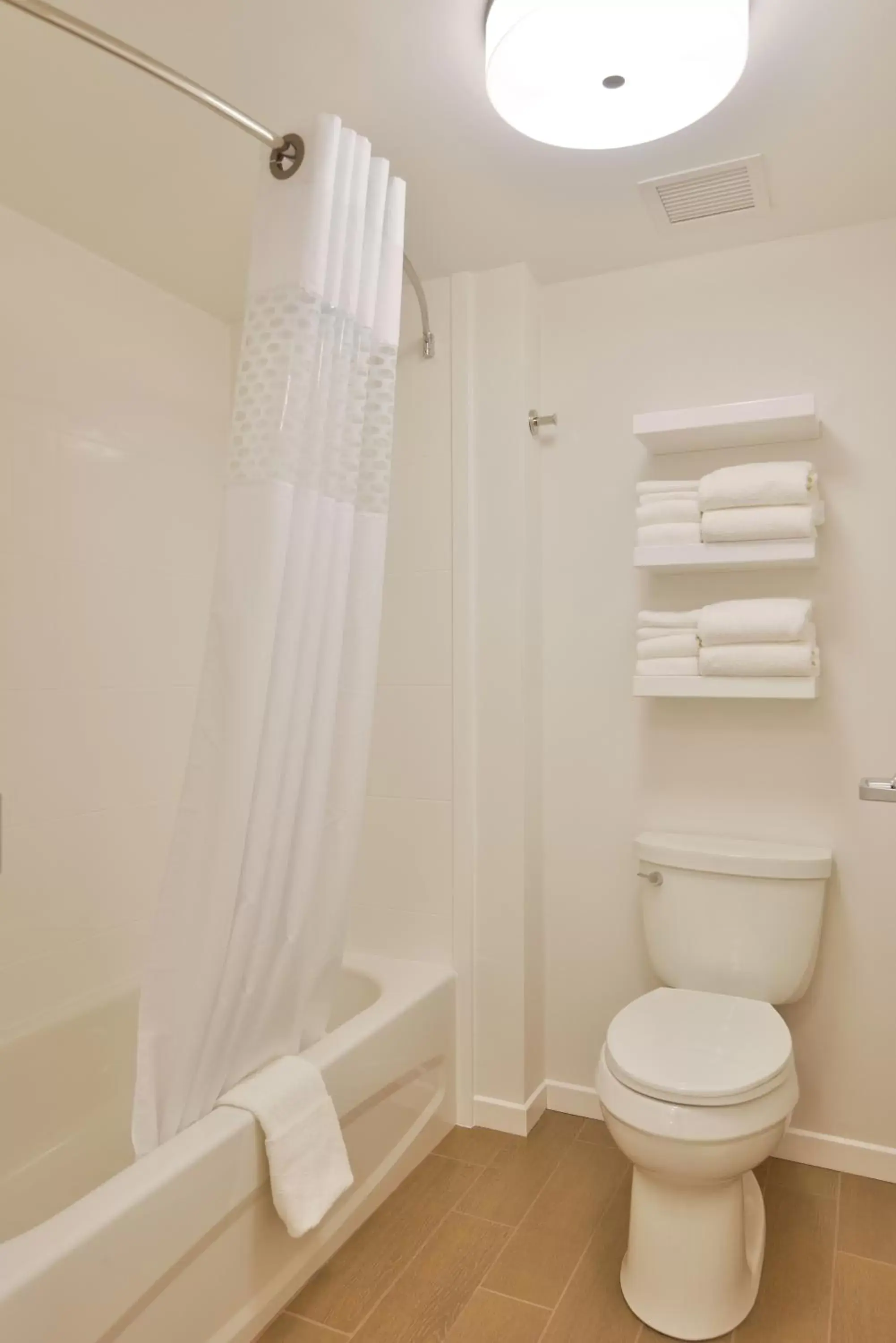 Shower, Bathroom in Hampton Inn & Suites Chippewa Falls