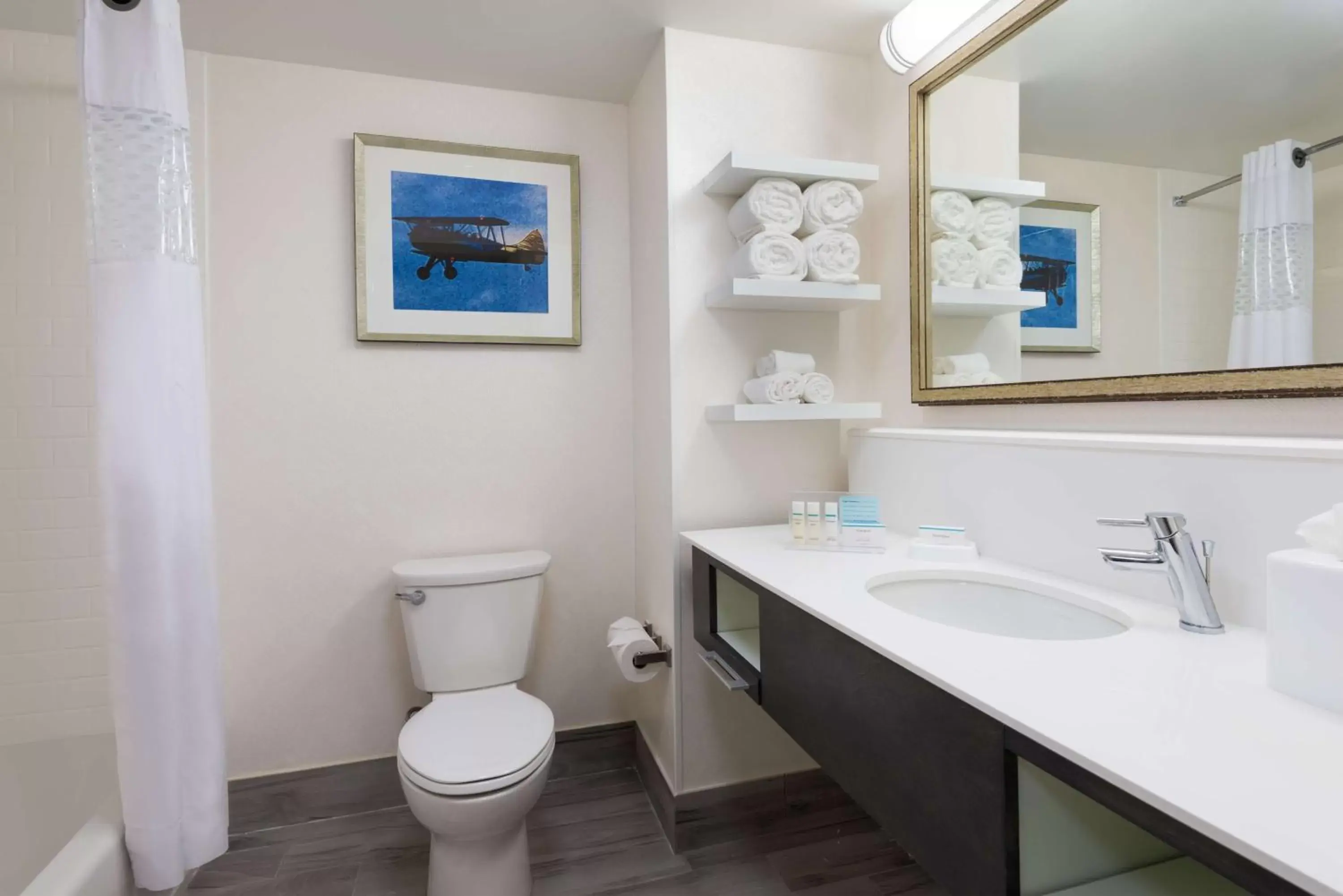 Bathroom in Hampton Inn & Suites Tampa Airport Avion Park Westshore