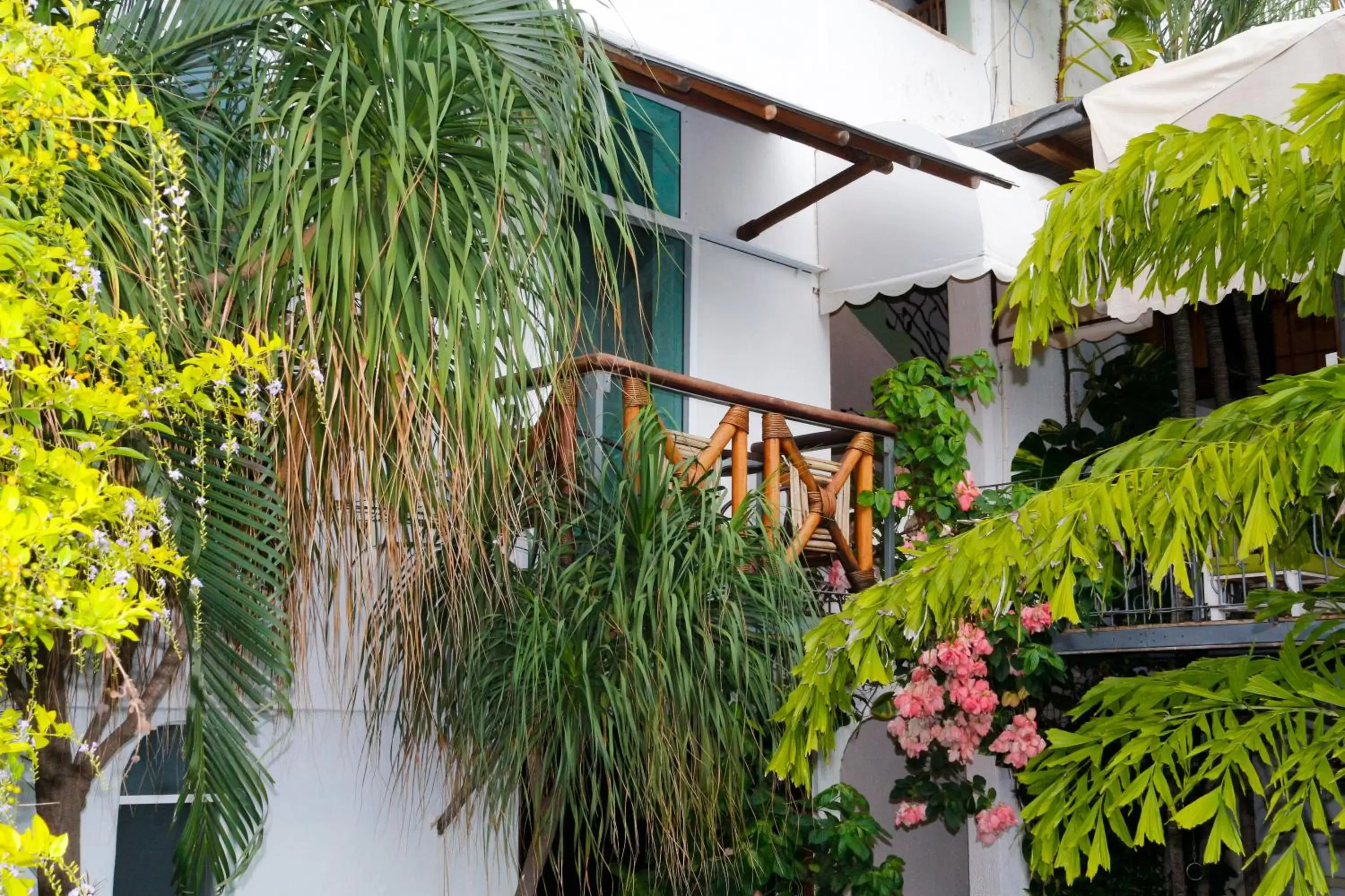 Garden, Property Building in Hotel Careyes Puerto Escondido