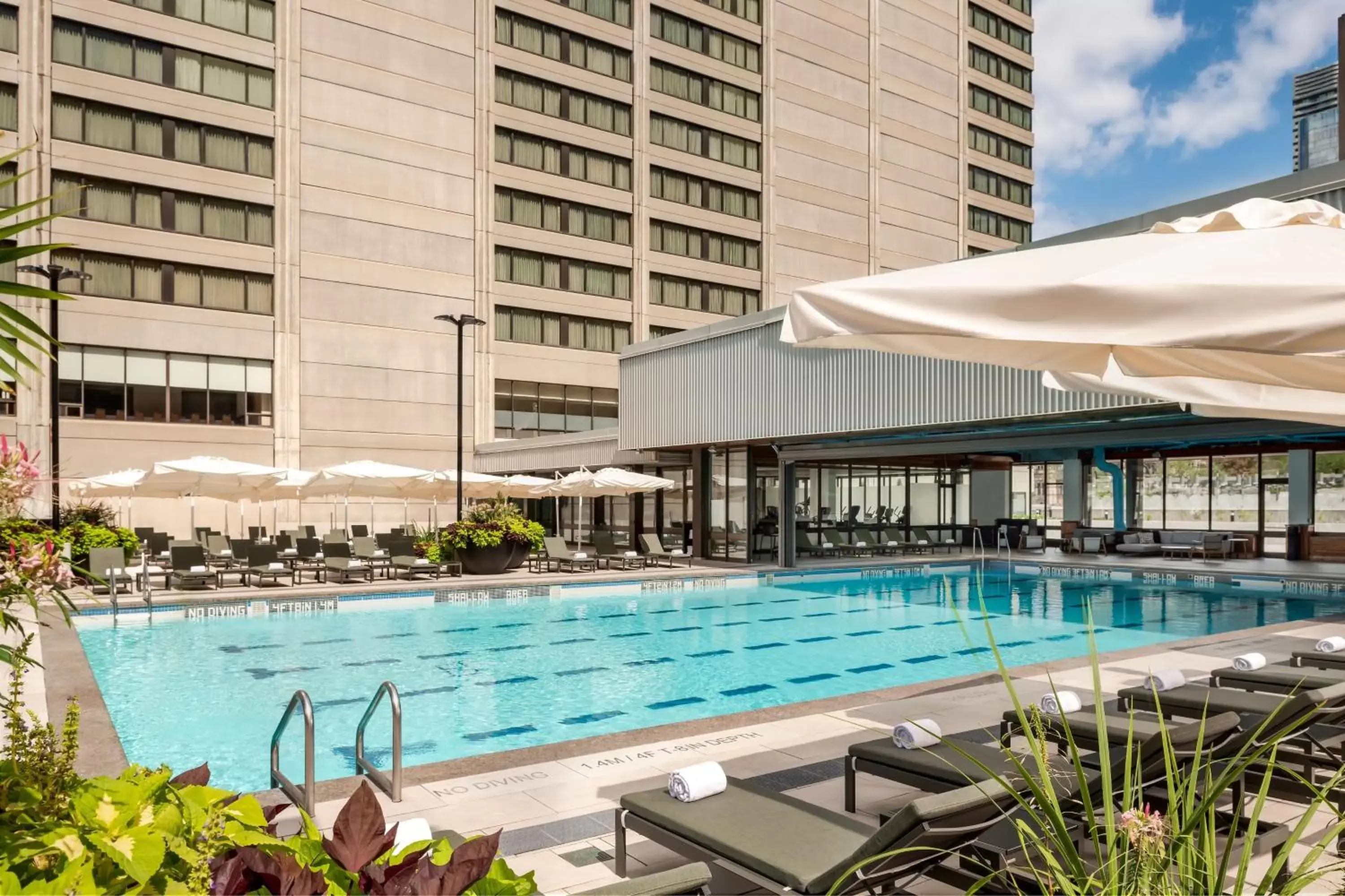 Swimming Pool in Sheraton Centre Toronto Hotel