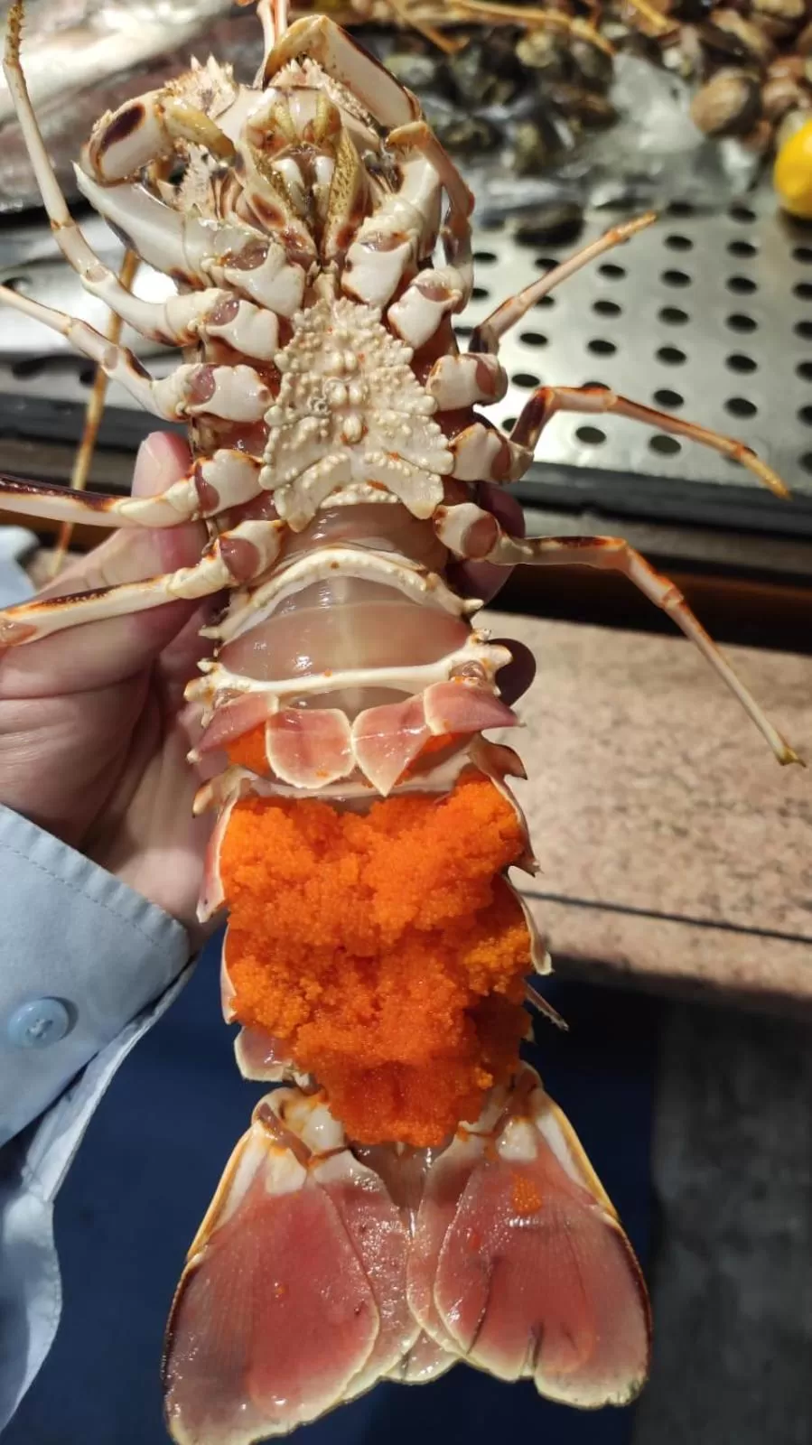 Hotel Profumo Di Mare