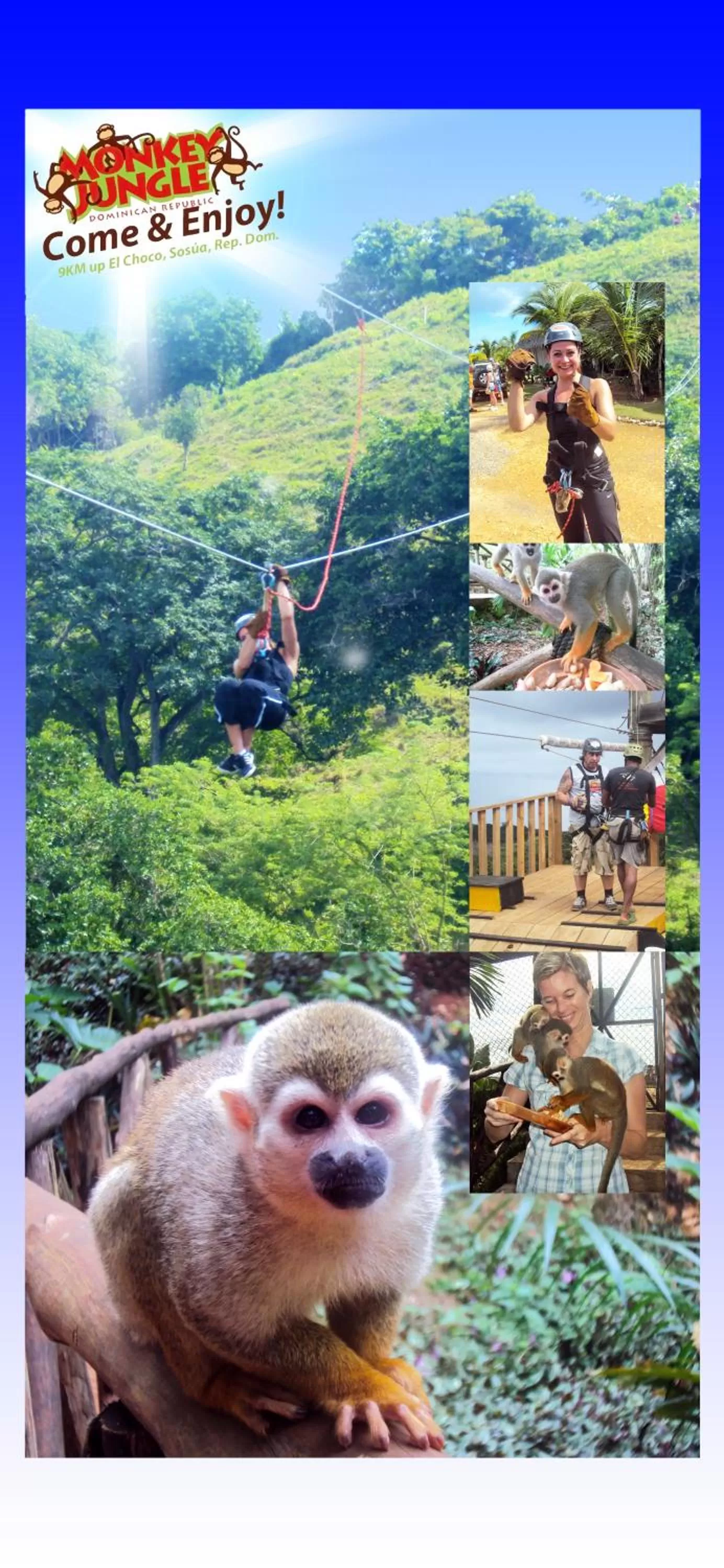 Animals in Casa Valeria Boutique Hotel