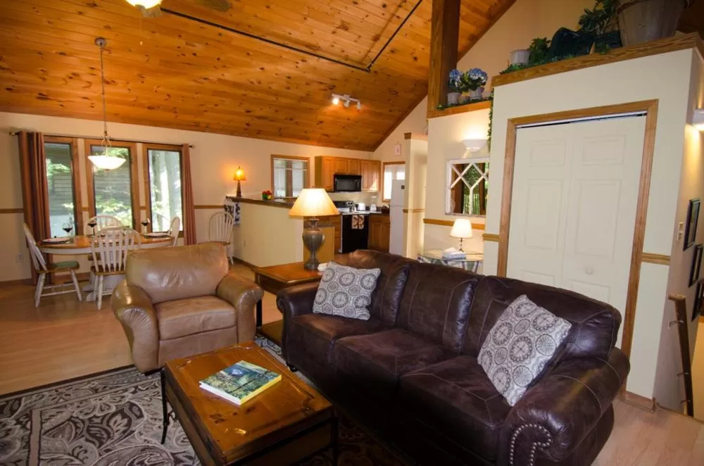 Living room in Asheville Cabins of Willow Winds