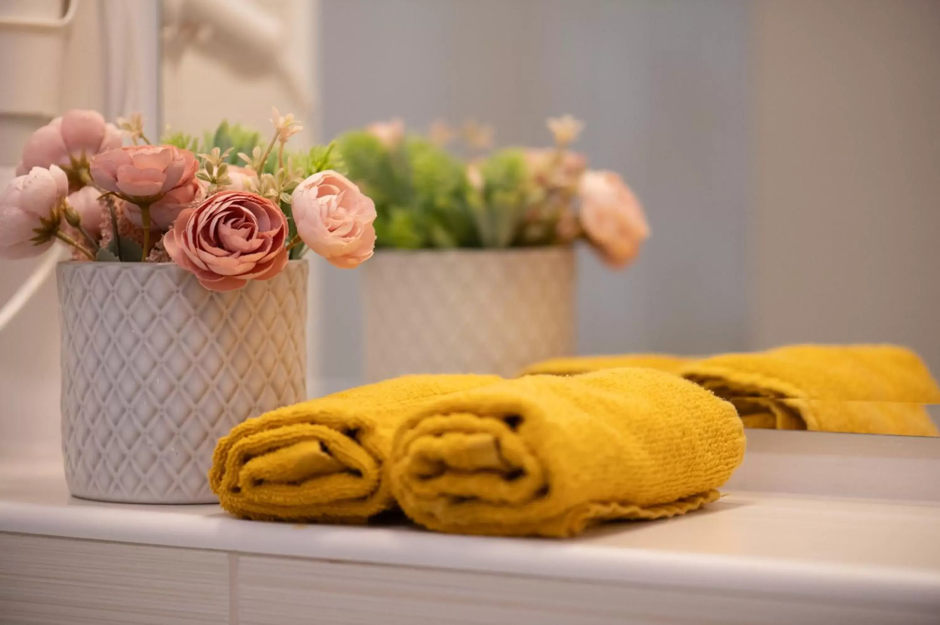 Bathroom in Prince Apartments