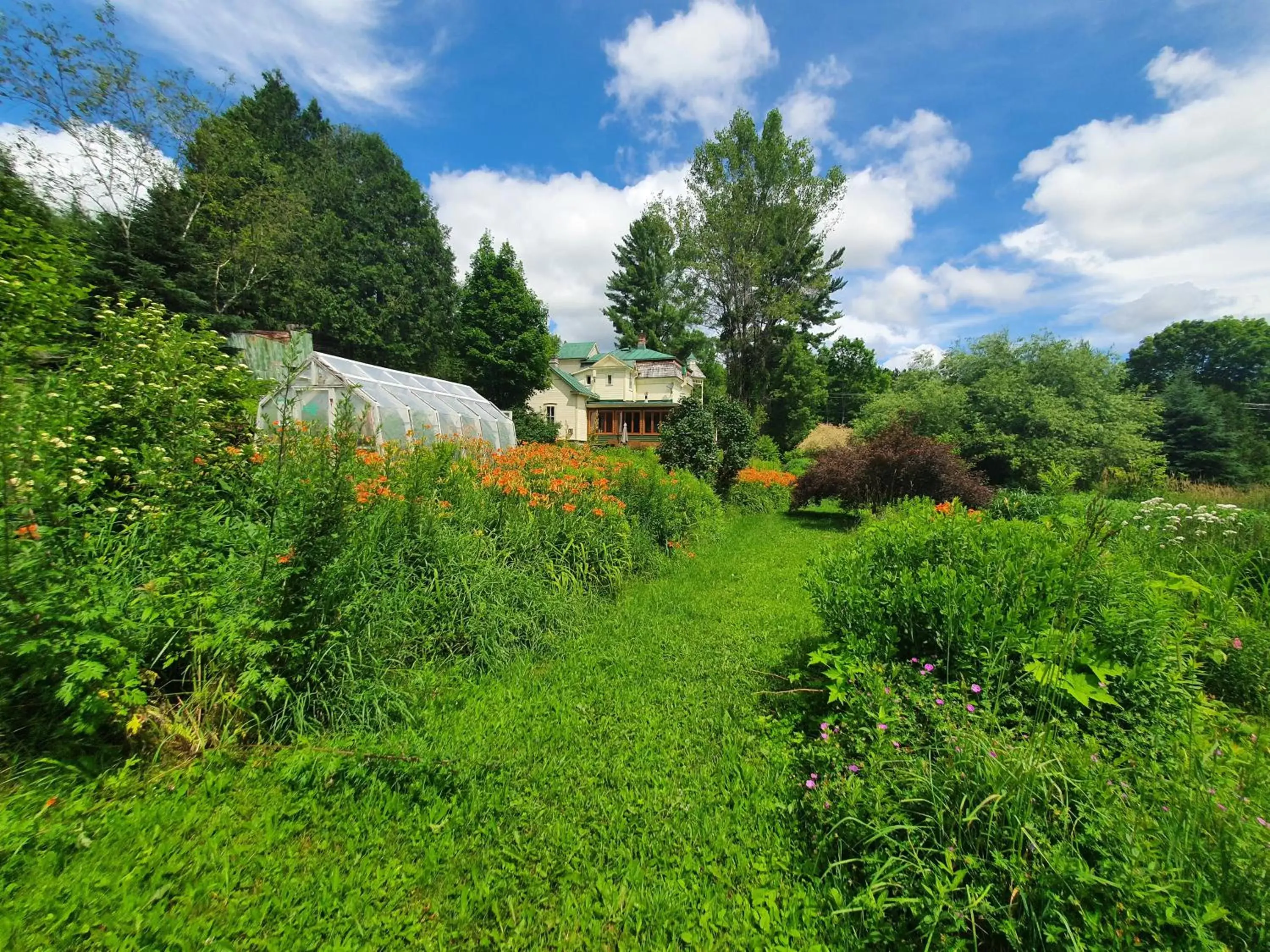 Garden in Le Salon des Inconnus