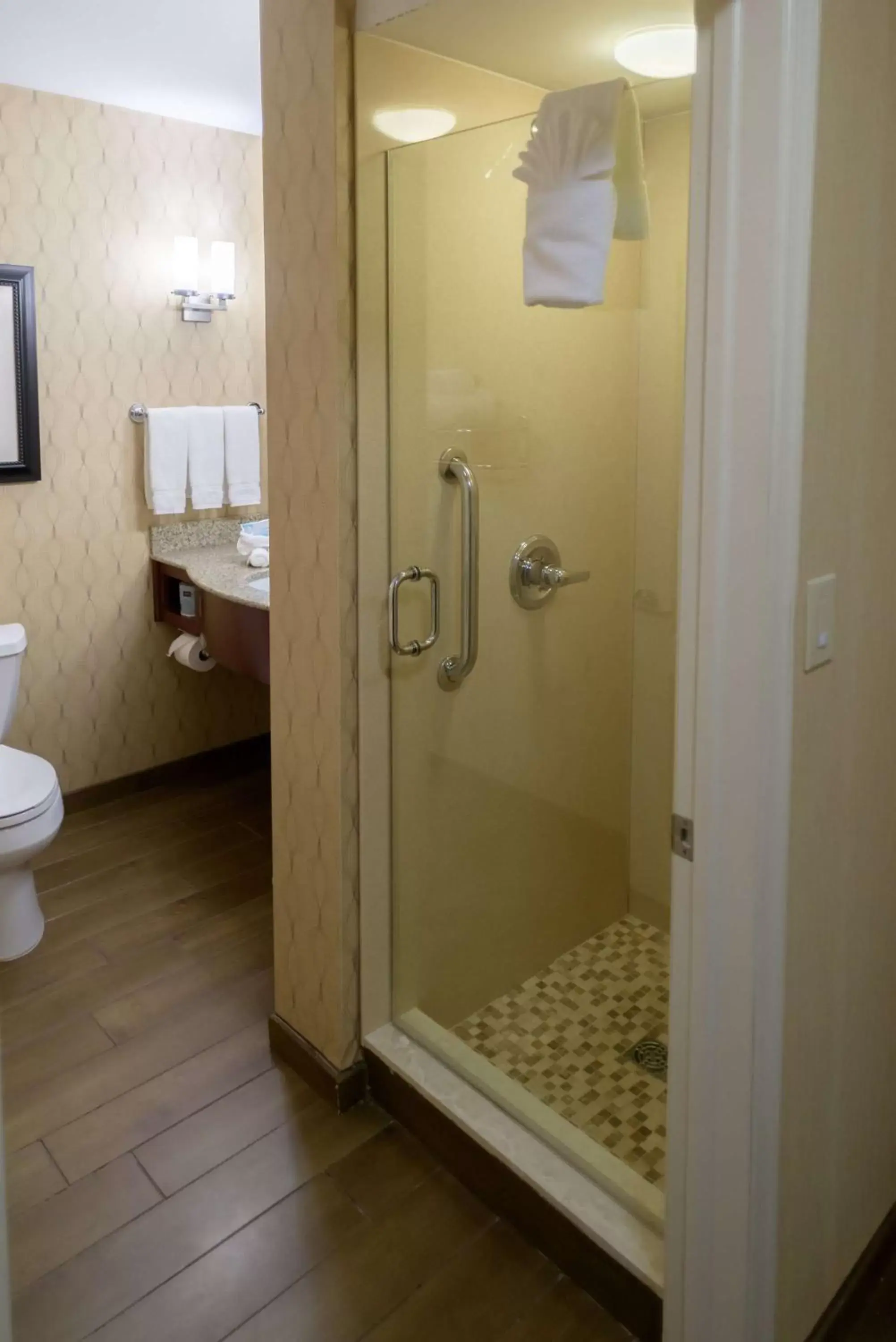 Bathroom in Hilton Garden Inn Kennett Square