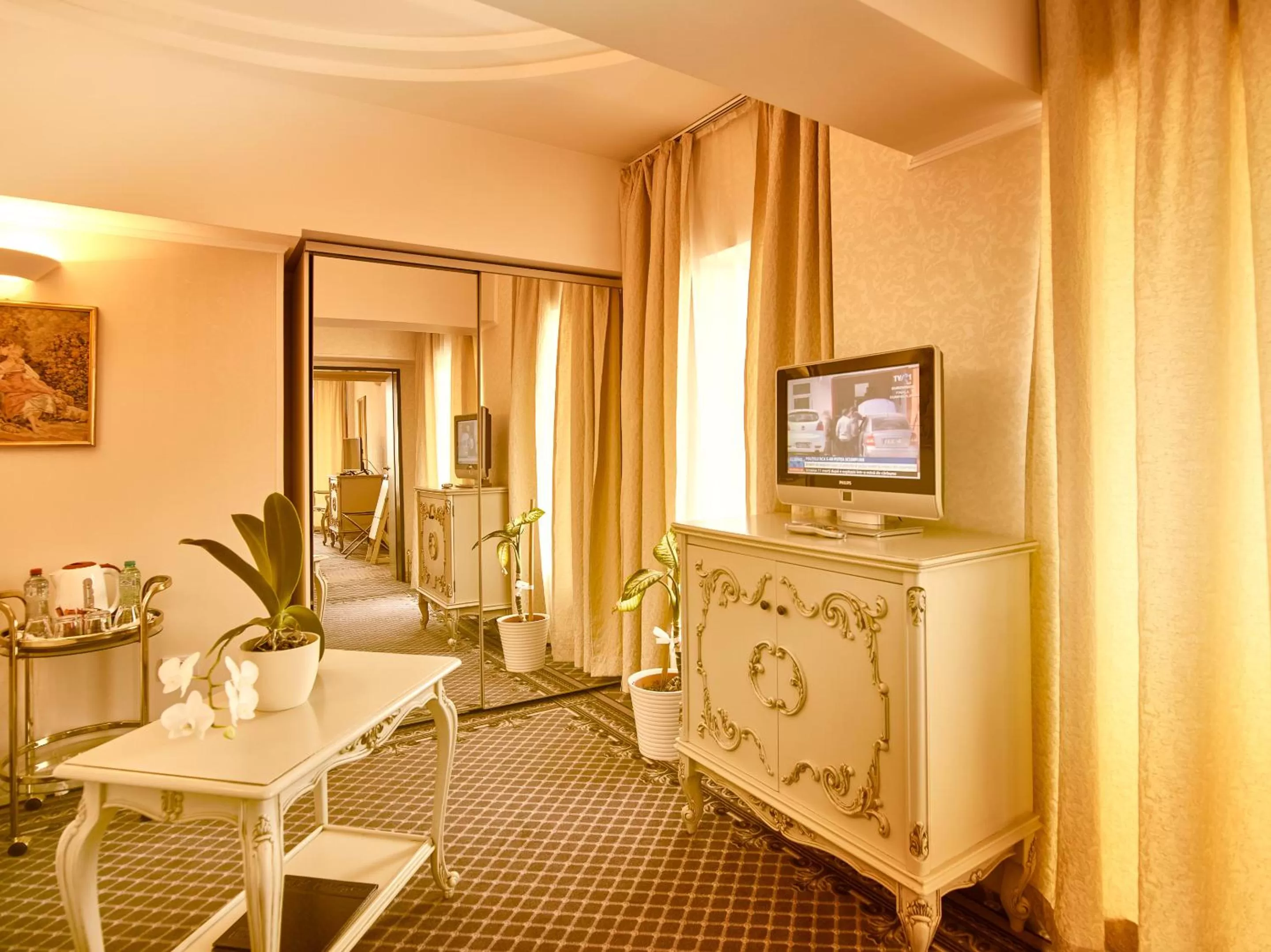 Decorative detail in Continental Forum Arad