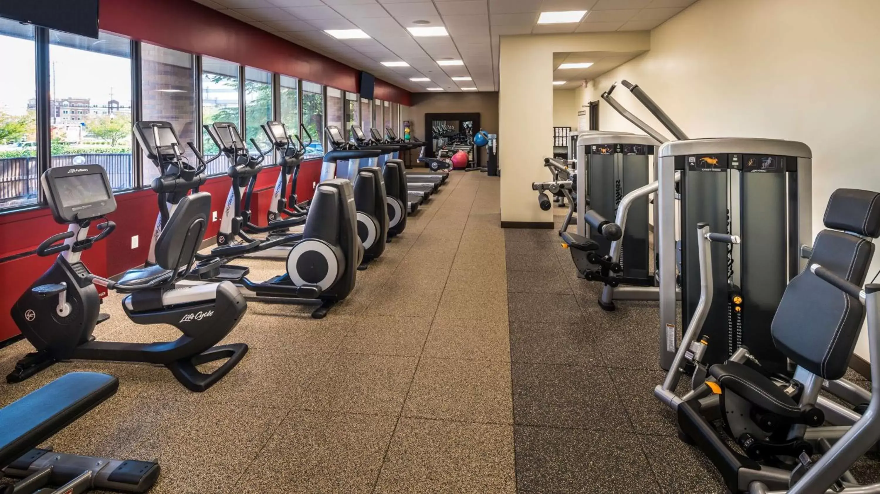 Fitness centre/facilities, Fitness Center/Facilities in Hilton Washington DC/Rockville Hotel & Executive Meeting Center