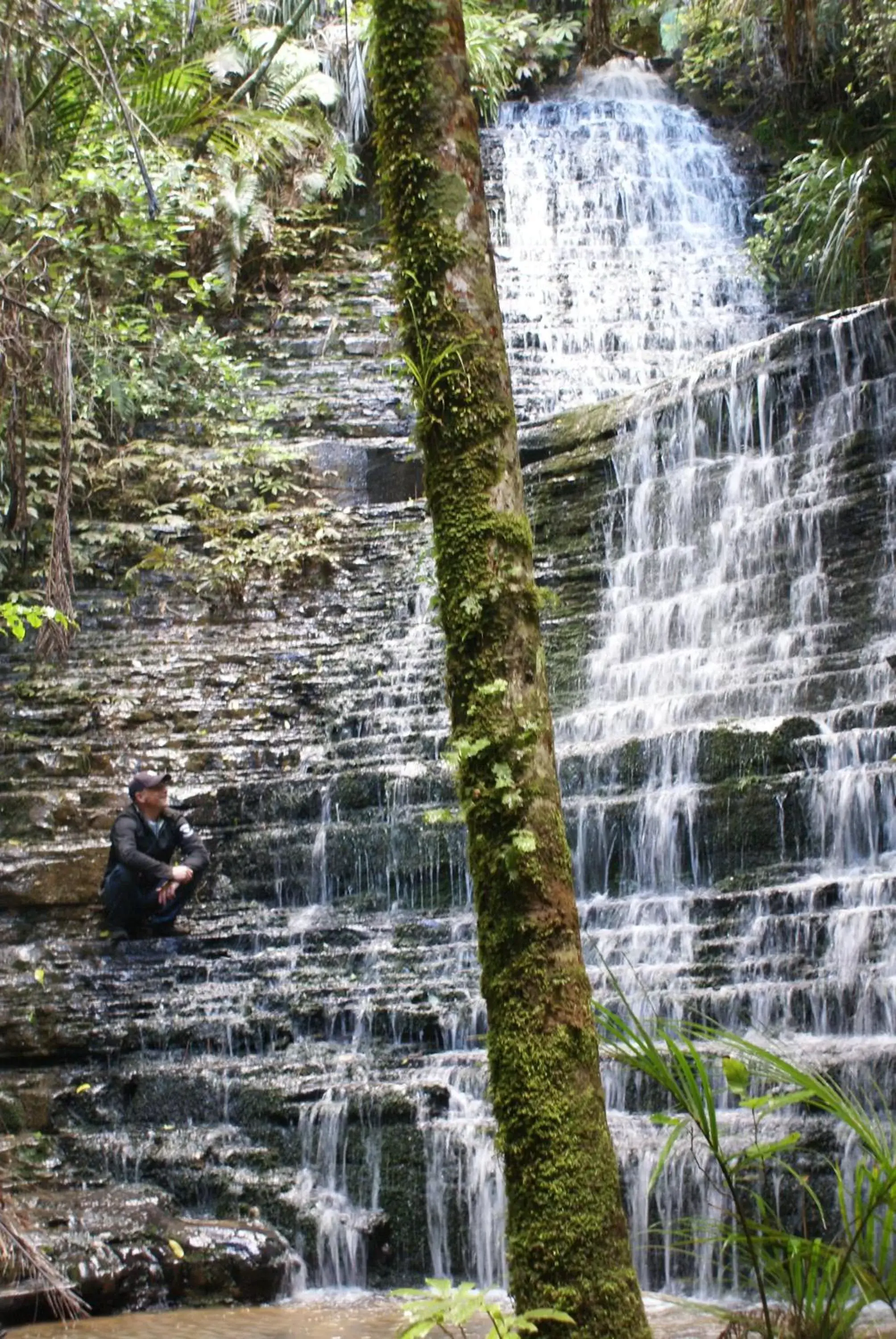 Area and facilities, Natural Landscape in Woodhouse Mountain Lodge