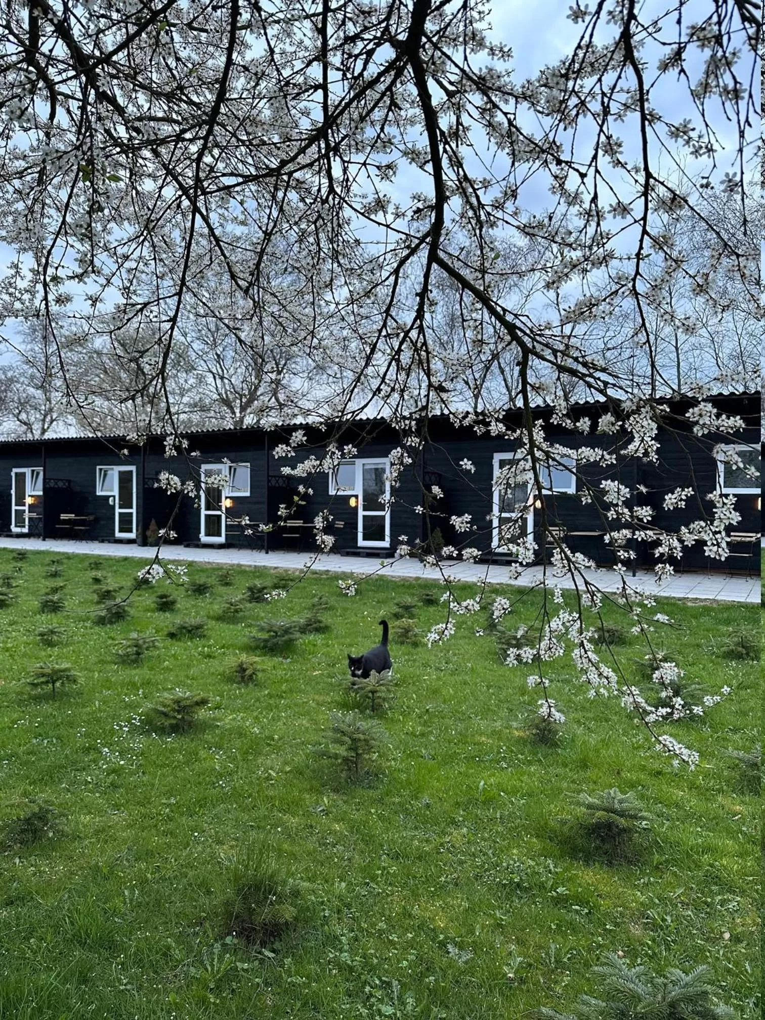 Garden view, Property Building in Klokkehøj