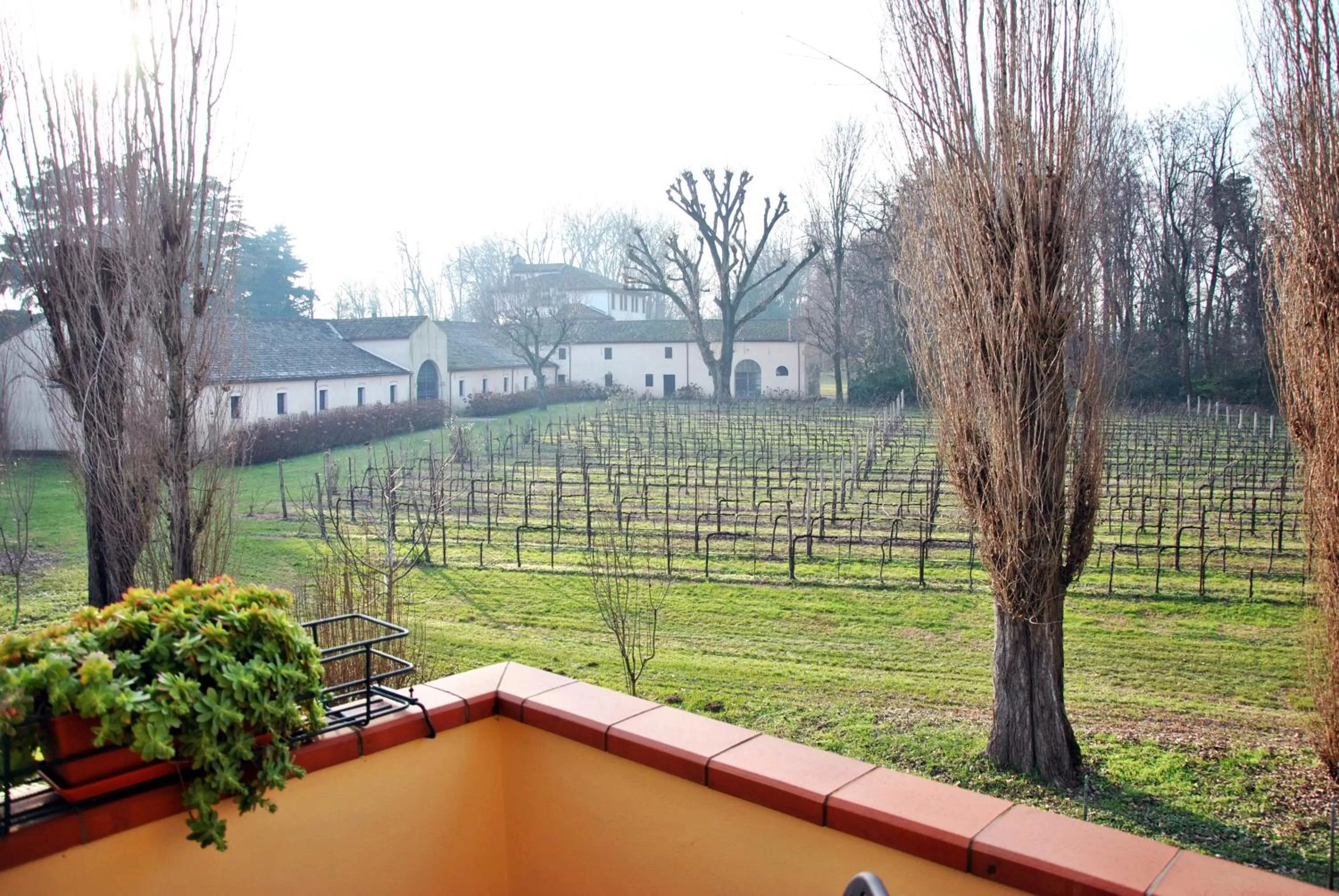 Balcony/Terrace in Villa Stefania