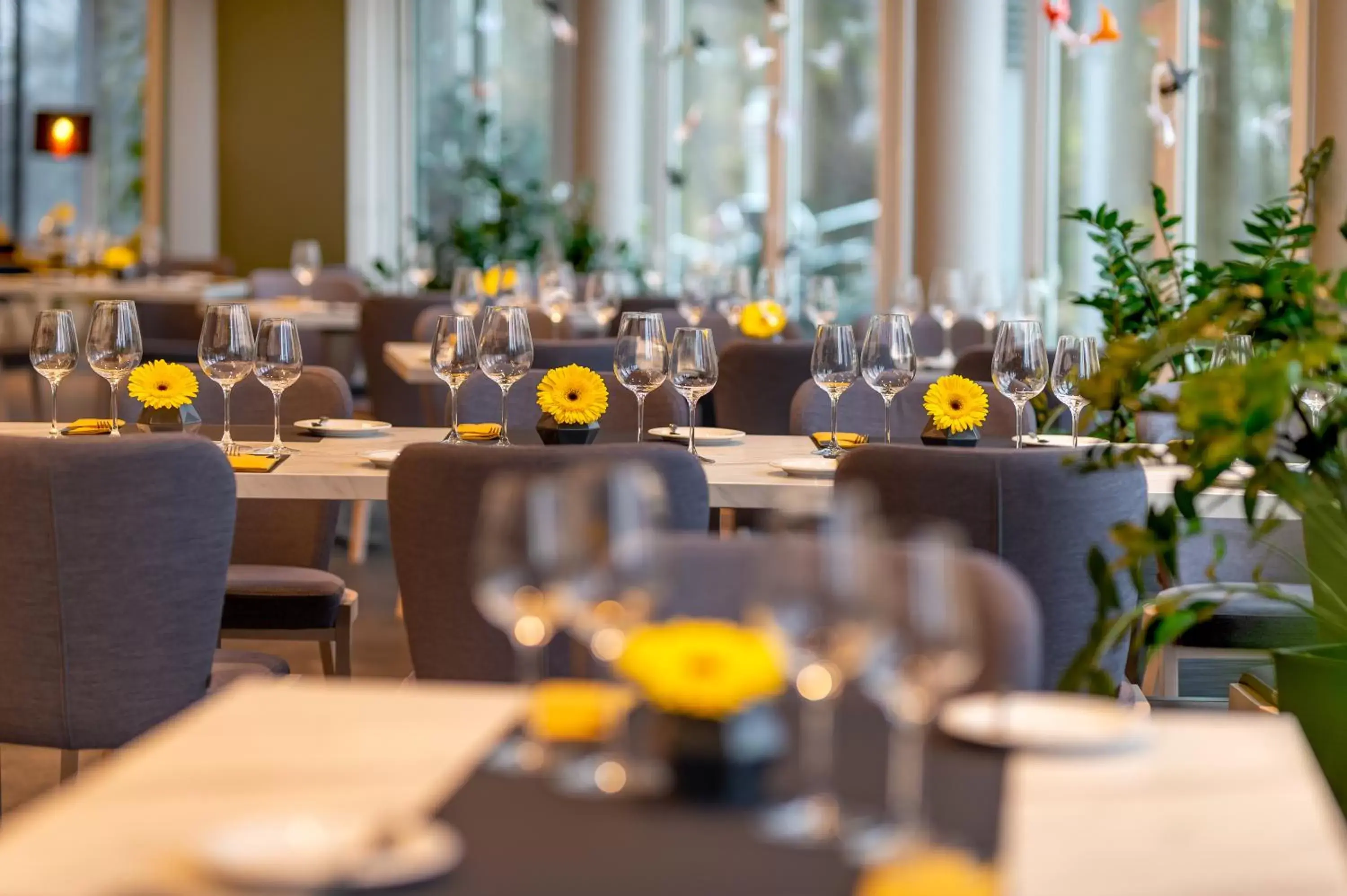 Restaurant/places to eat in Hotel Vivaldi Restaurant/places to eat in Hotel Vivaldi