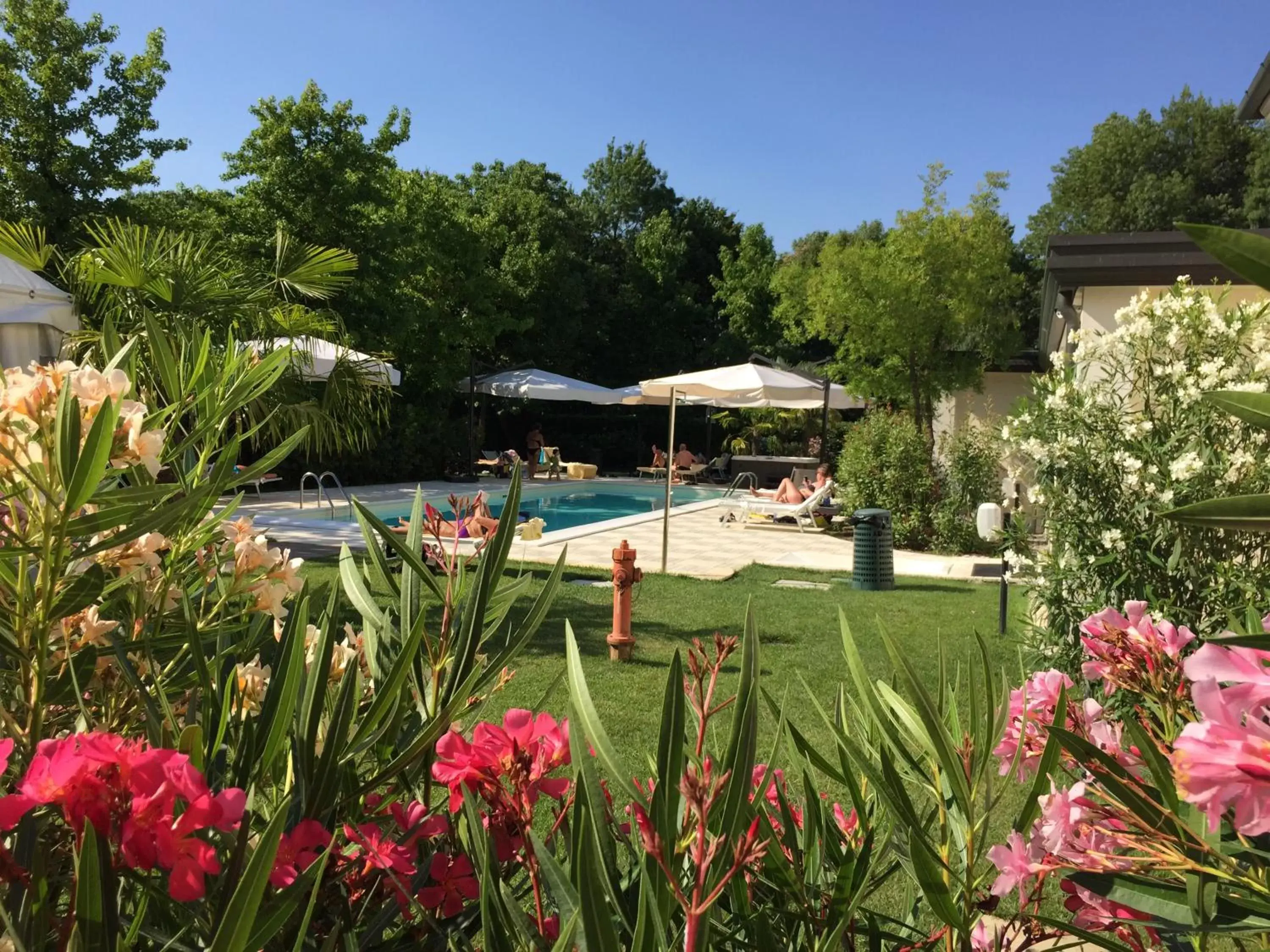 Activities, Swimming Pool in Villa Fiorita