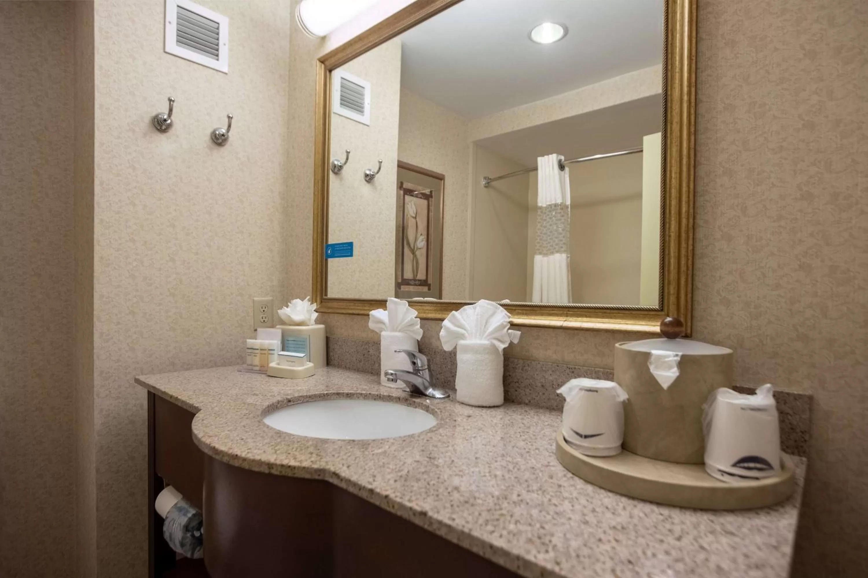Bathroom in Hampton Inn Hadley-Amherst Area