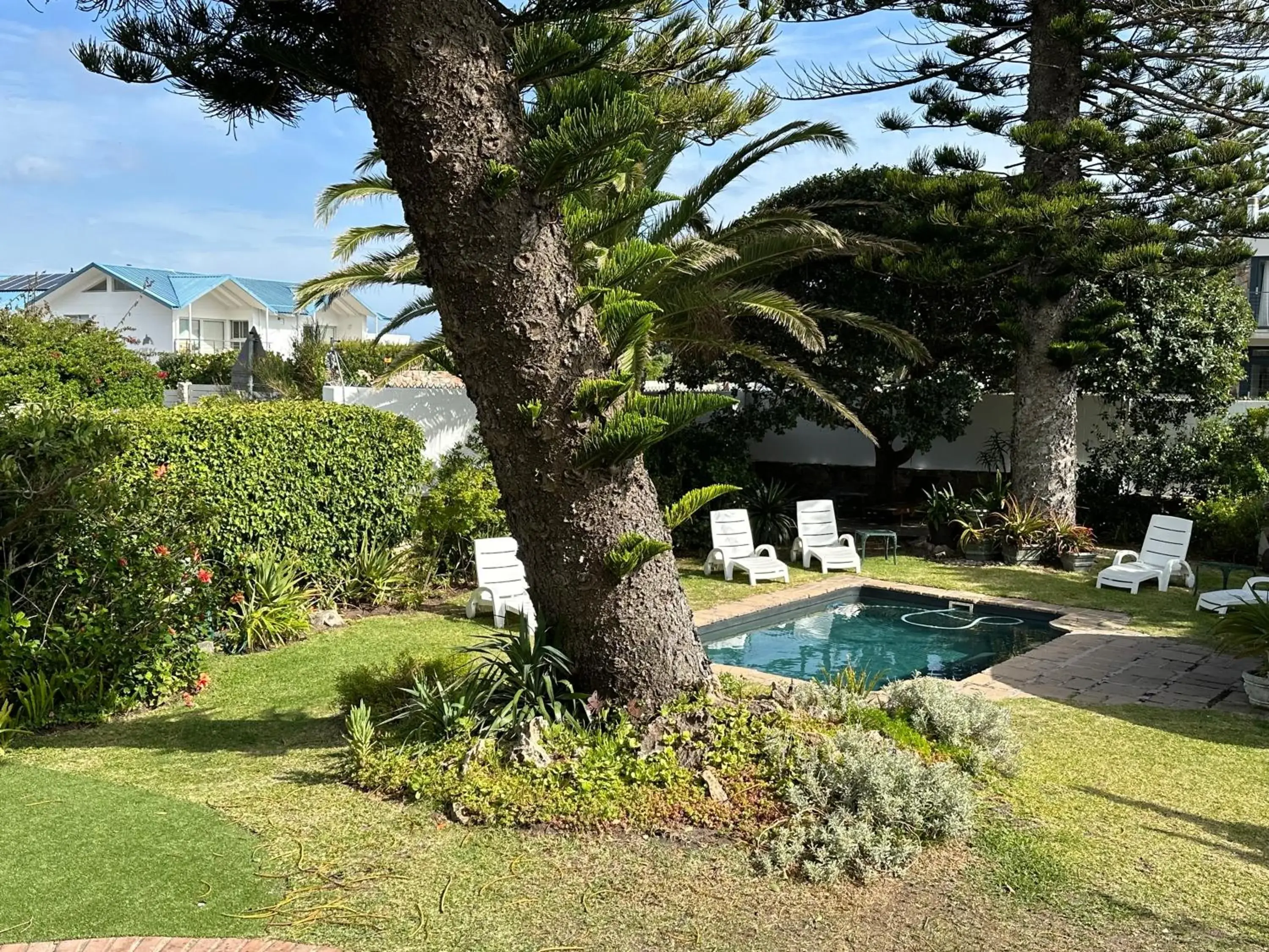 Swimming Pool in House on Westcliff