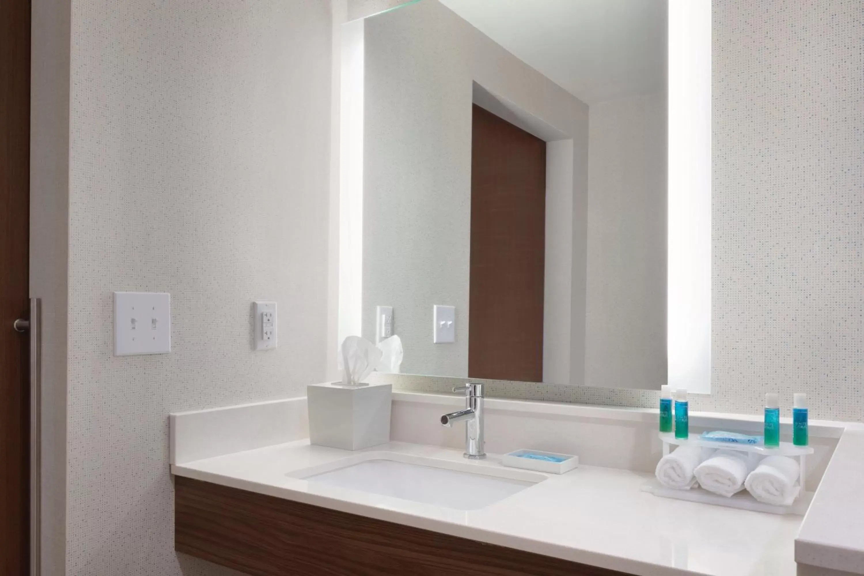 Photo of the whole room, Bathroom in Holiday Inn Express Newnan, an IHG Hotel