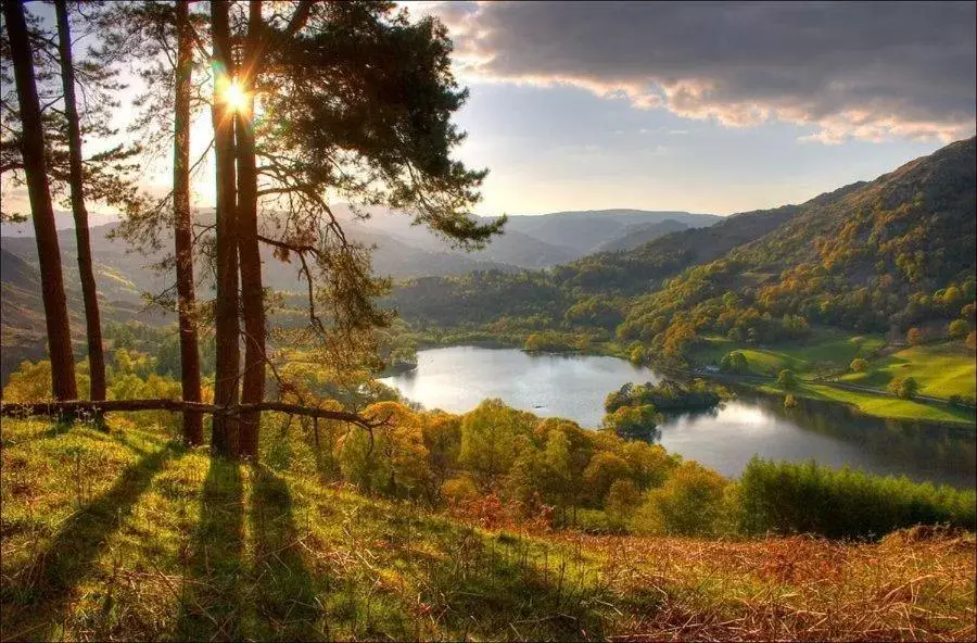 Natural Landscape in Badger Bar