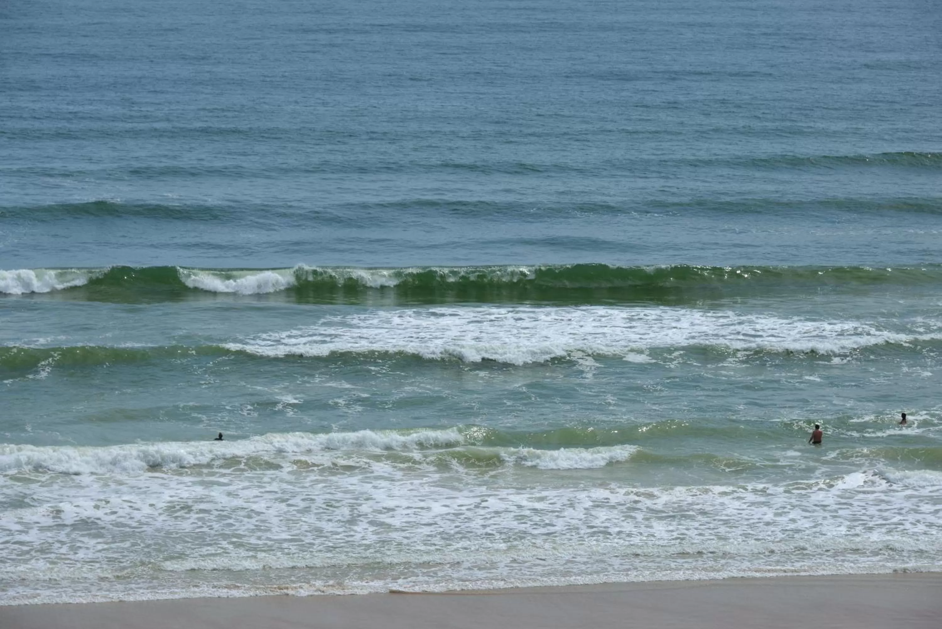 Beach in El Caribe Resort and Conference Center