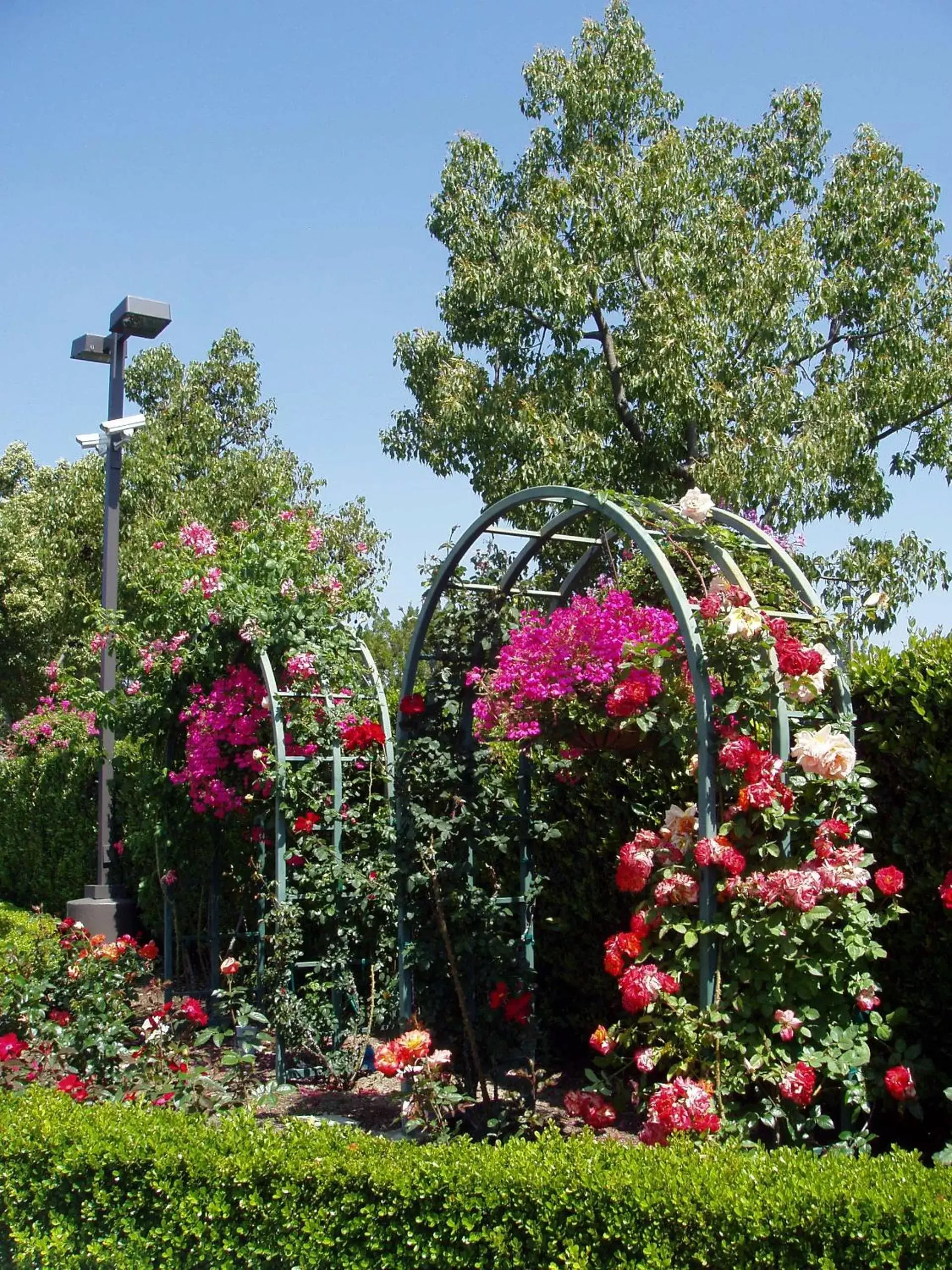 Garden in Laguna Hills Lodge-Irvine Spectrum