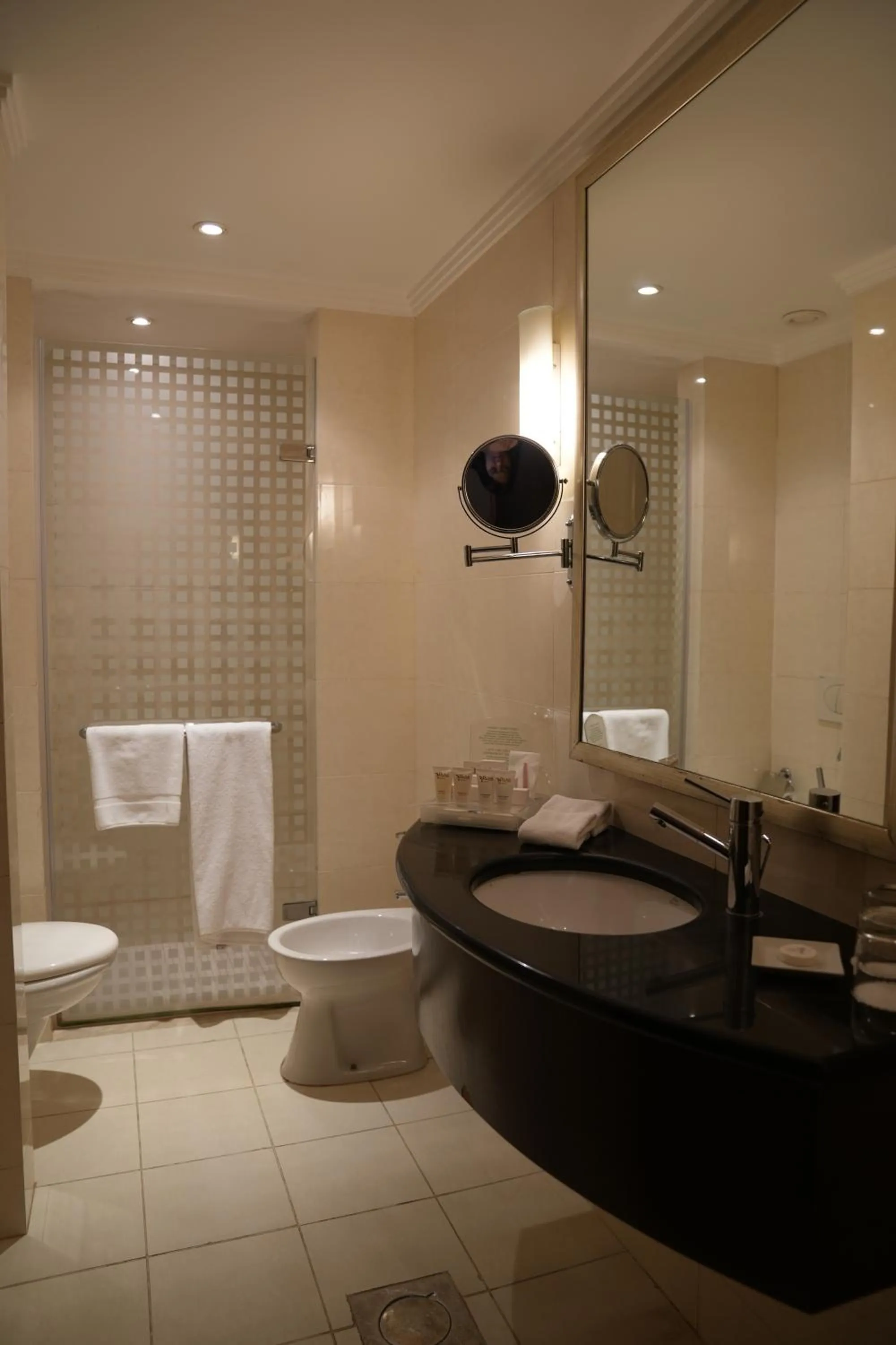 Toilet in Millennium Central Kuwait Downtown