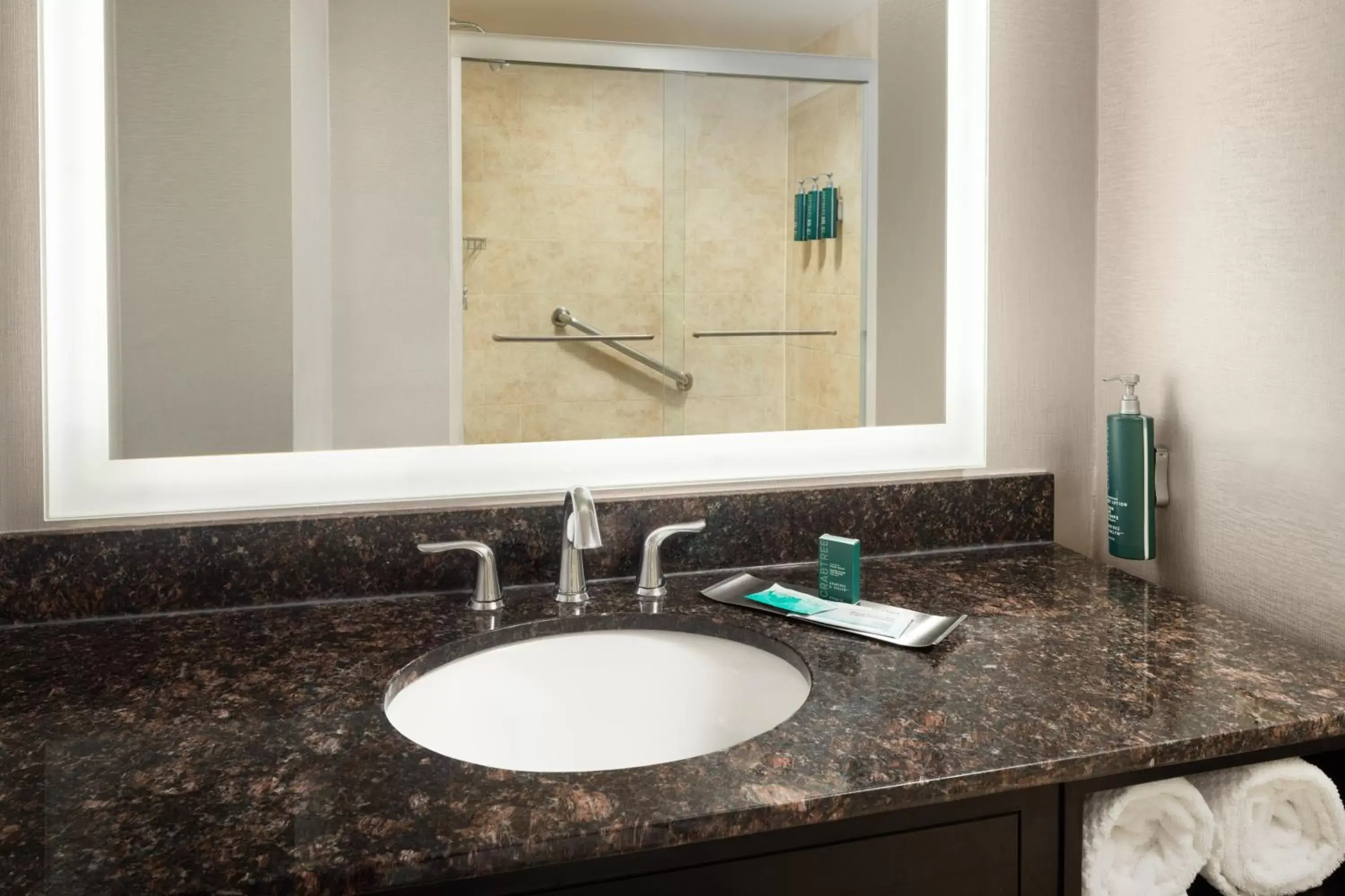 Bathroom in DoubleTree Suites by Hilton Hotel Detroit Downtown - Fort Shelby