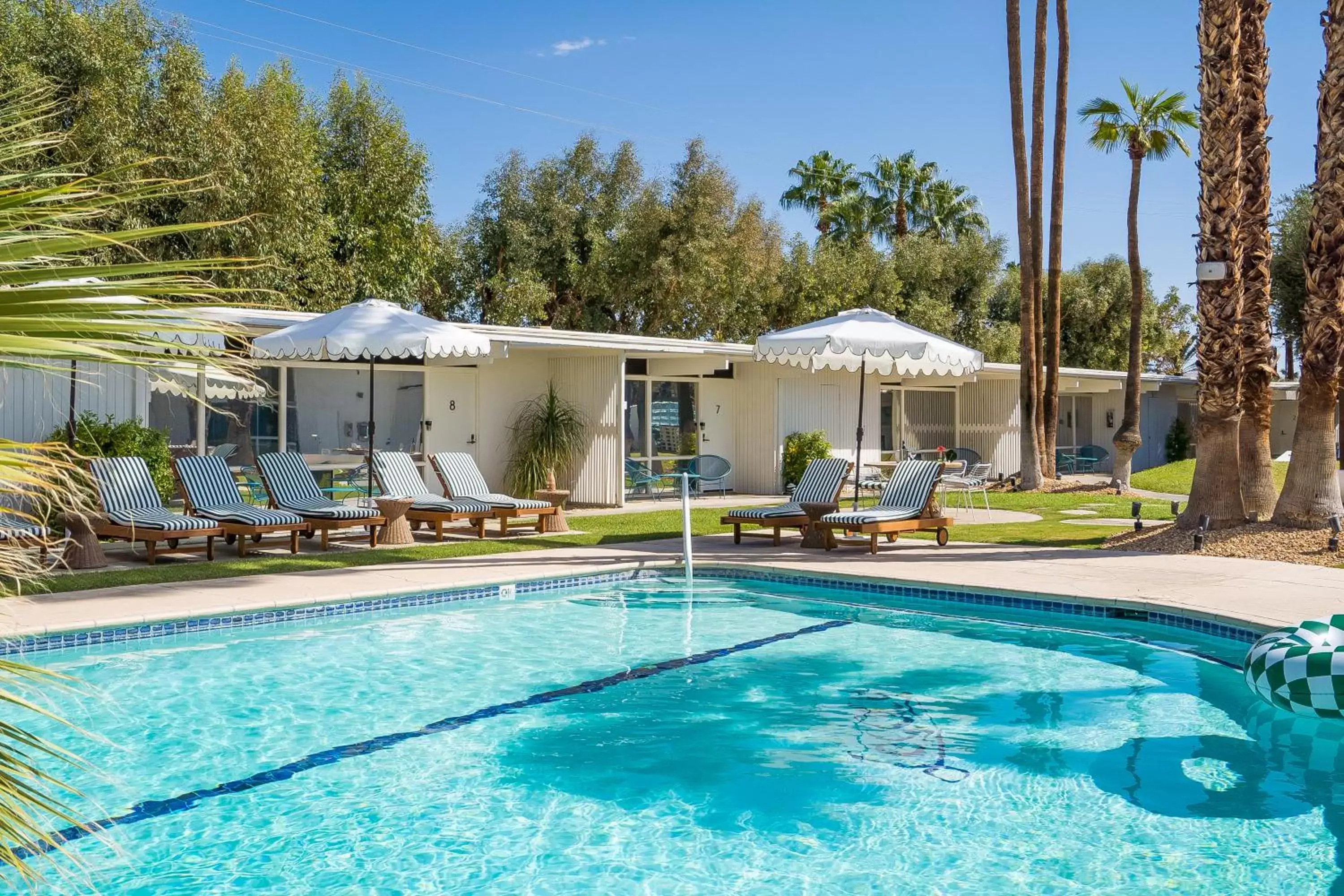 Swimming Pool in The Monkey Tree Hotel by AvantStay