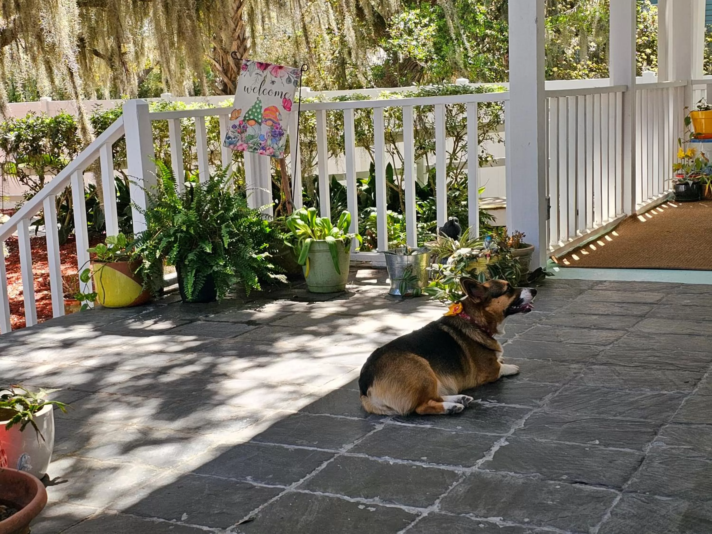 Tybee Island Inn Bed & Breakfast