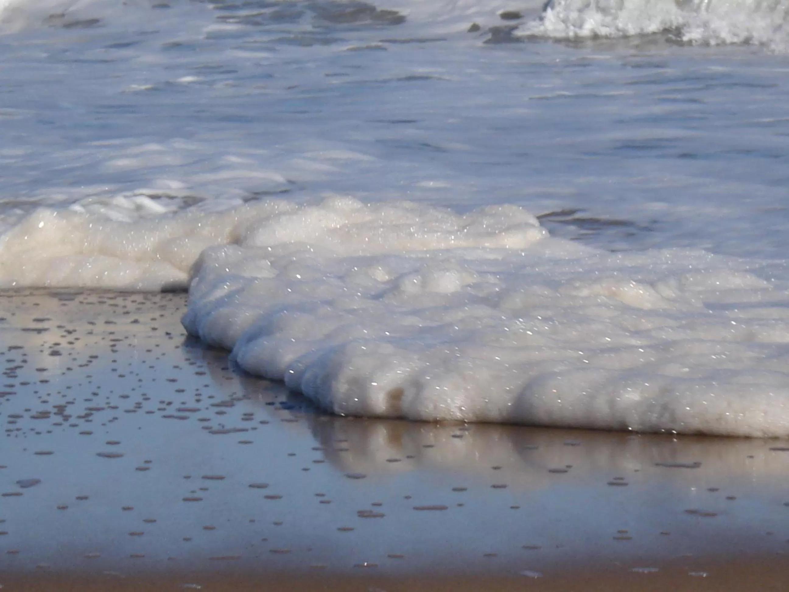 Beach in BDA Hotel & Spa