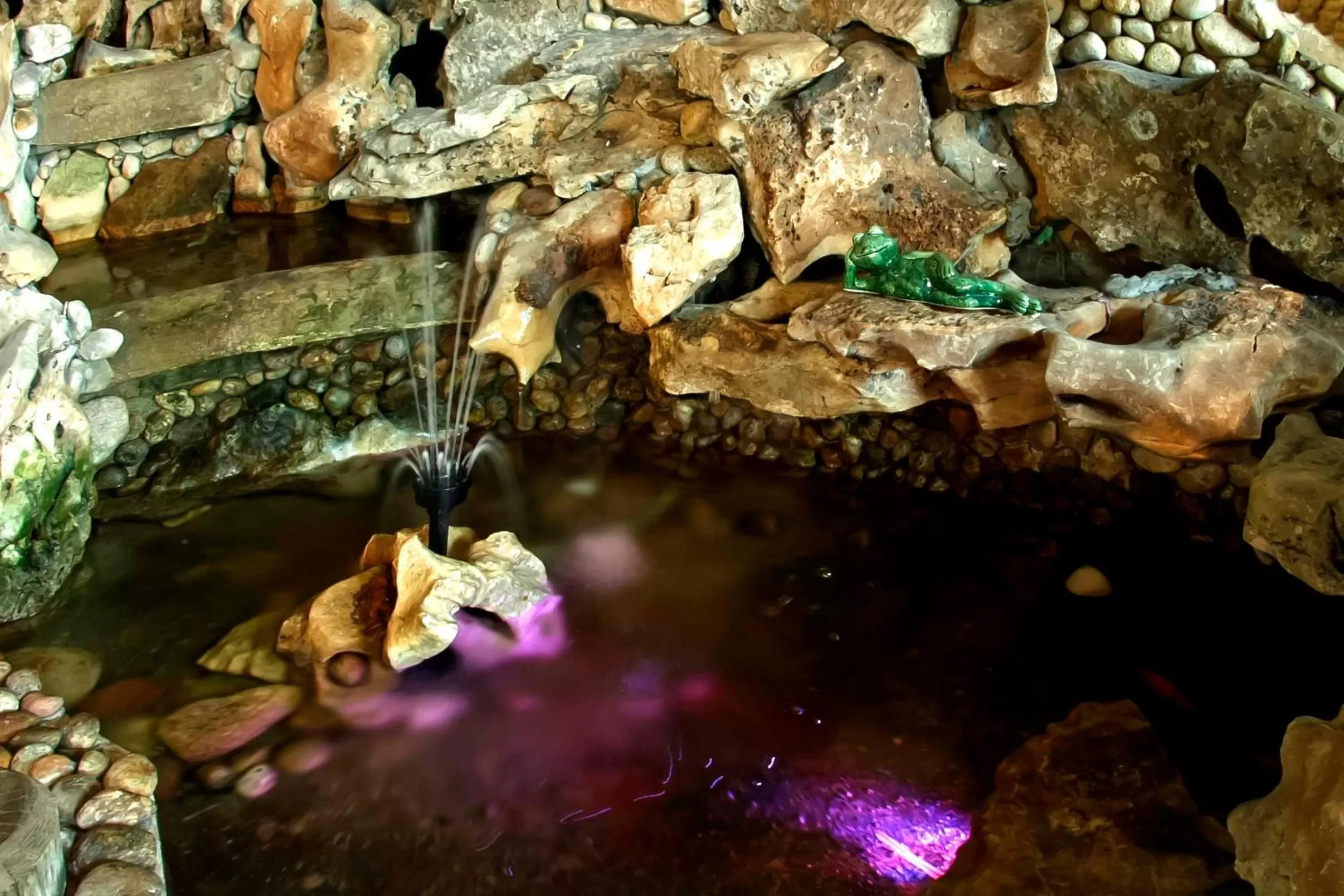 Natural landscape in Edi Hotel