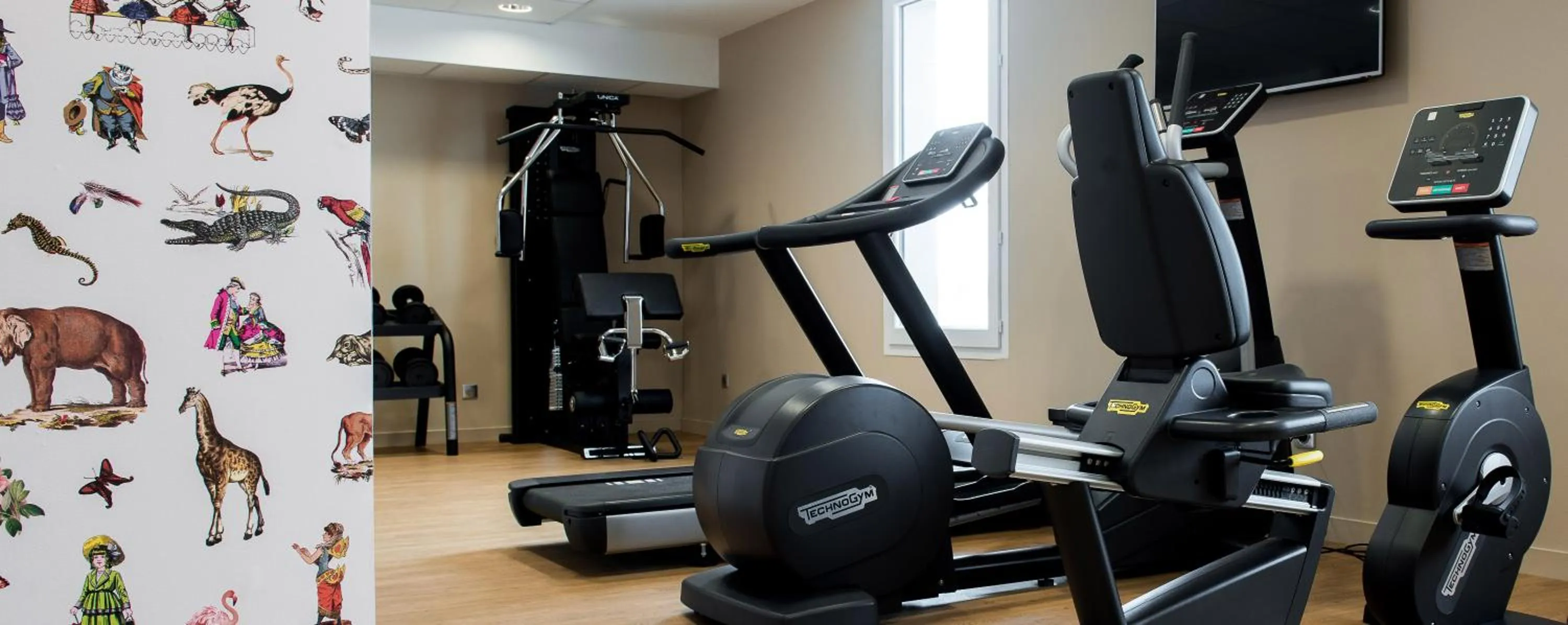 Fitness centre/facilities in KOPSTER Hotel Lyon Groupama Stadium