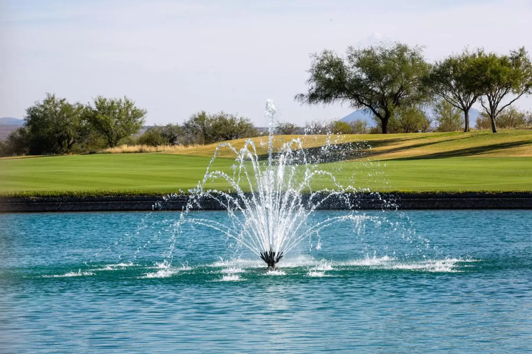 Golfcourse, Golf in Canoa Ranch Golf Resort