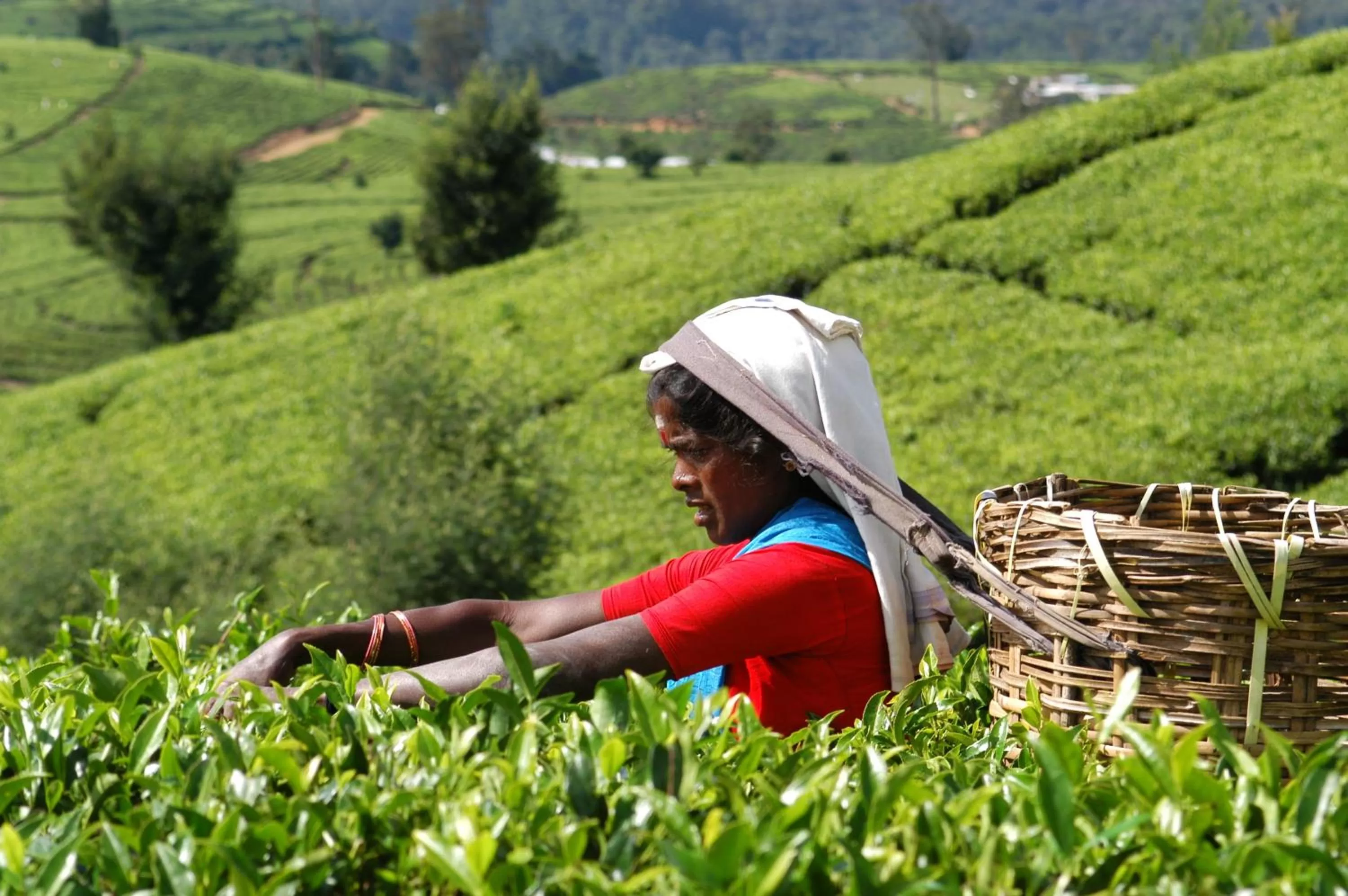 Day in The Grand Hotel - Heritage Grand