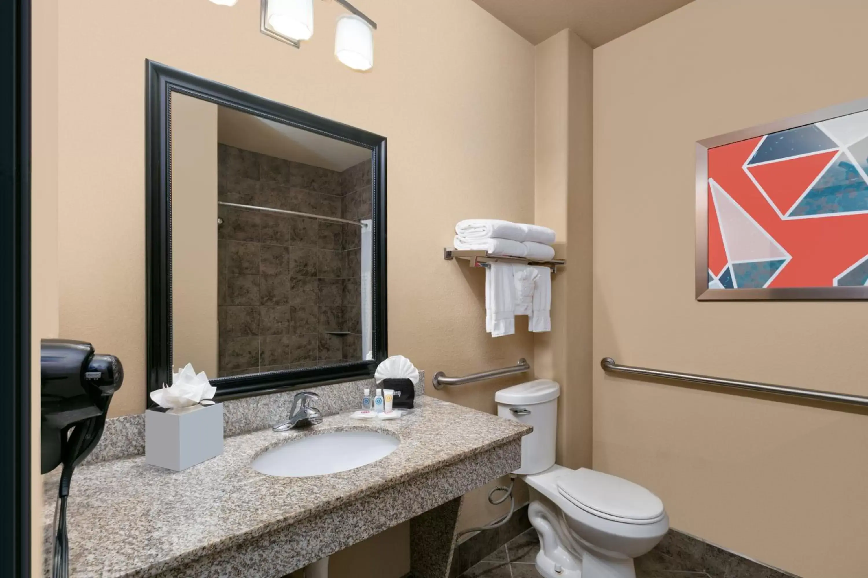 Bathroom in Comfort Suites Arlington - Entertainment District